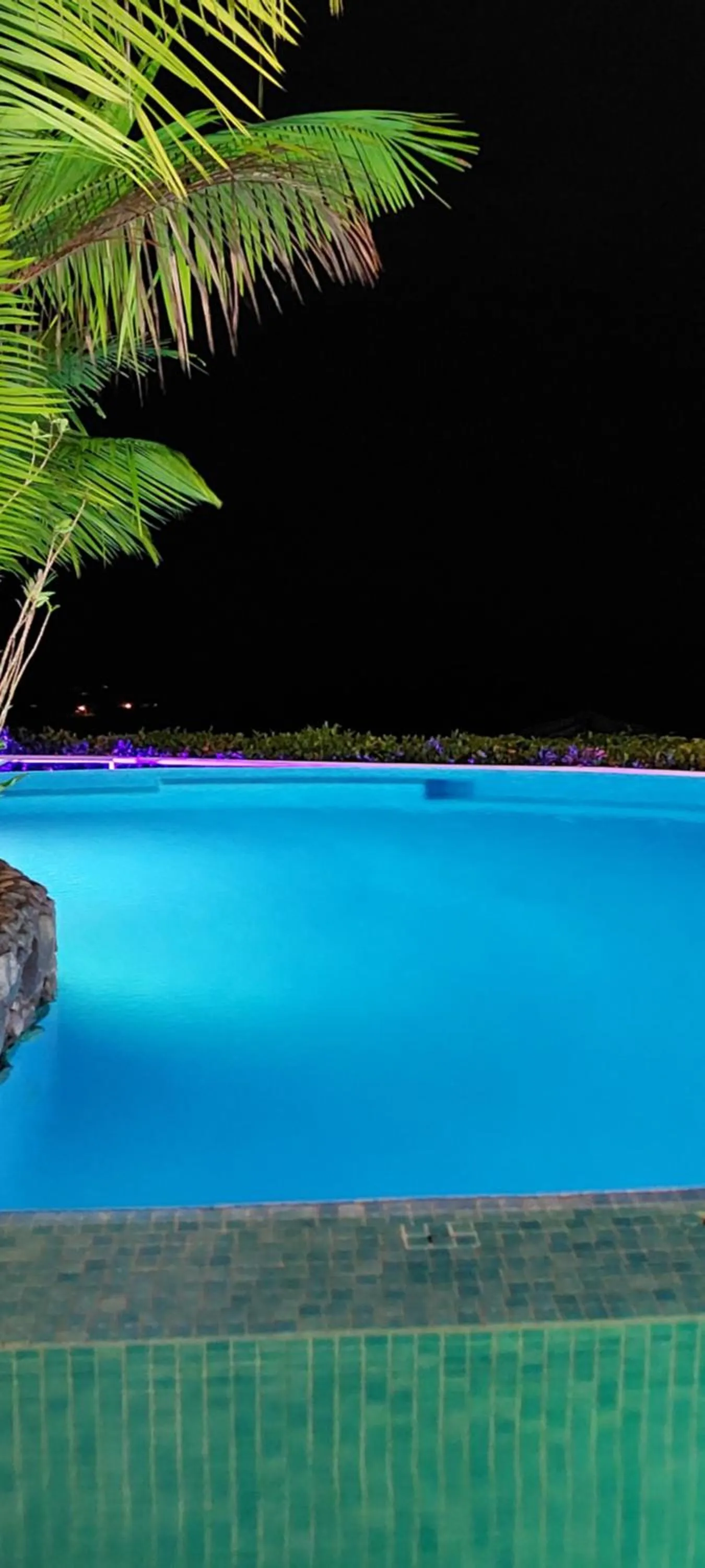 Swimming pool in Vista Ballena