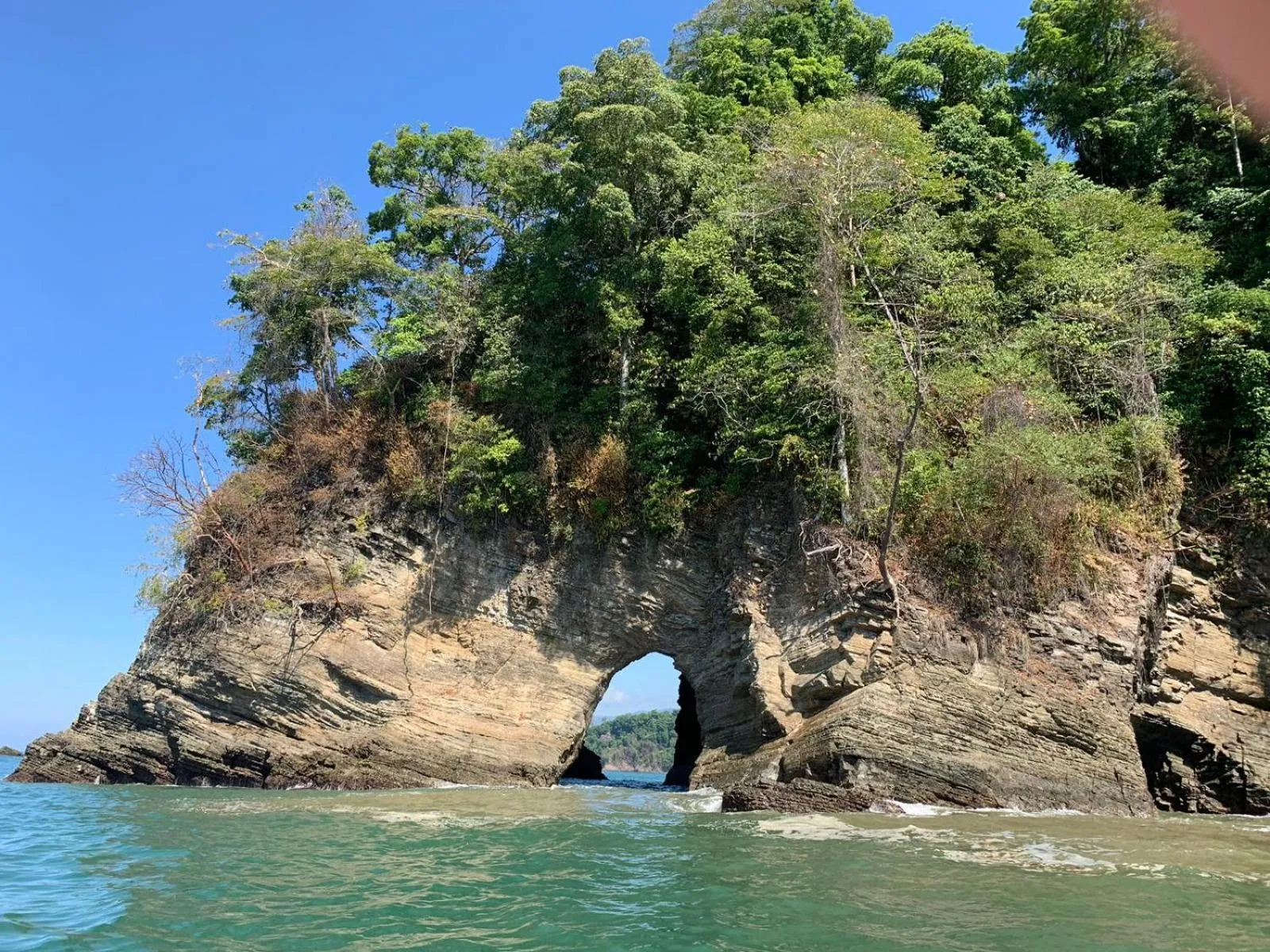 Beach in Vista Ballena