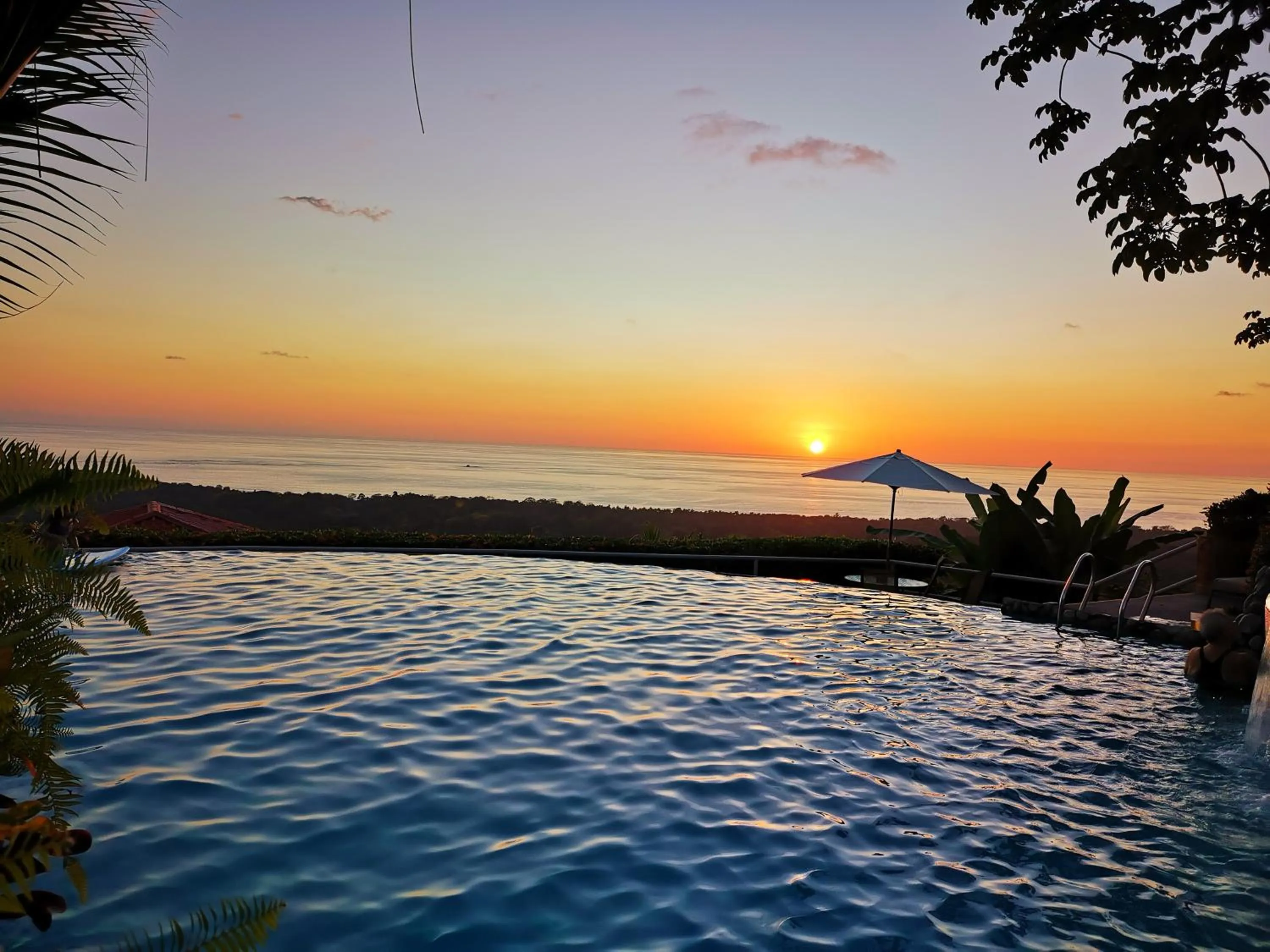 Swimming pool in Vista Ballena