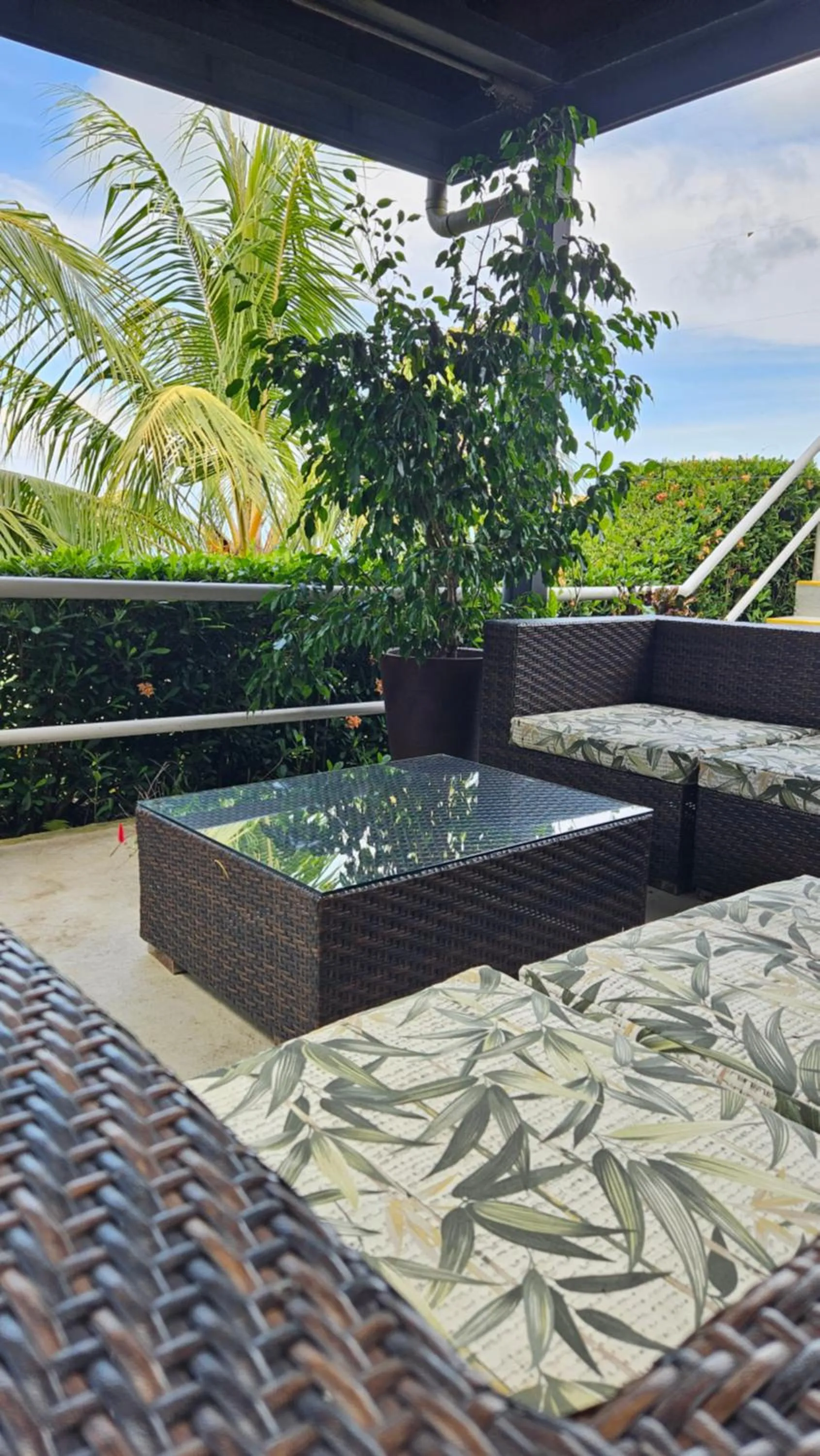 Lounge or bar in Vista Ballena