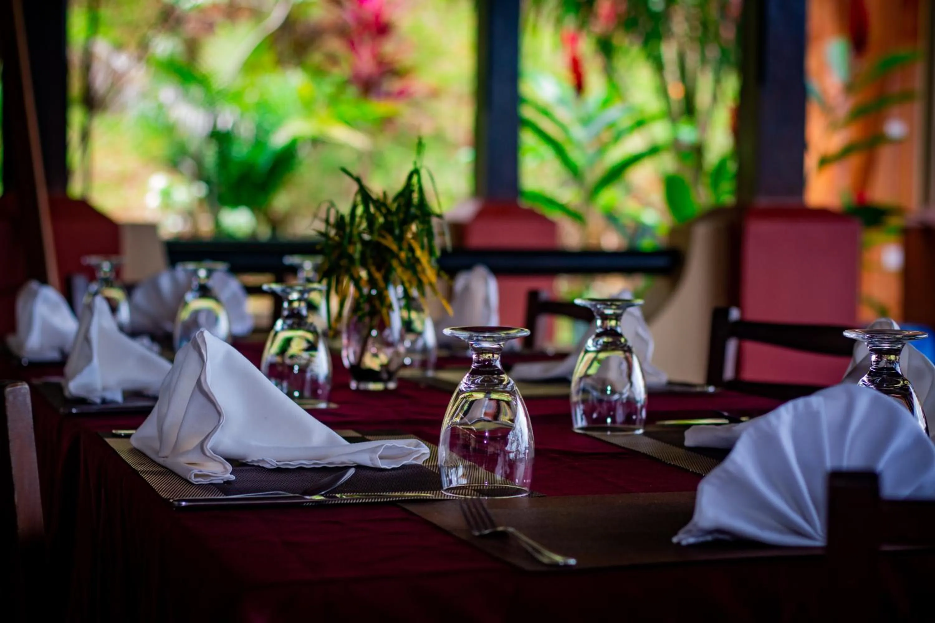 Restaurant/places to eat in Vista Ballena