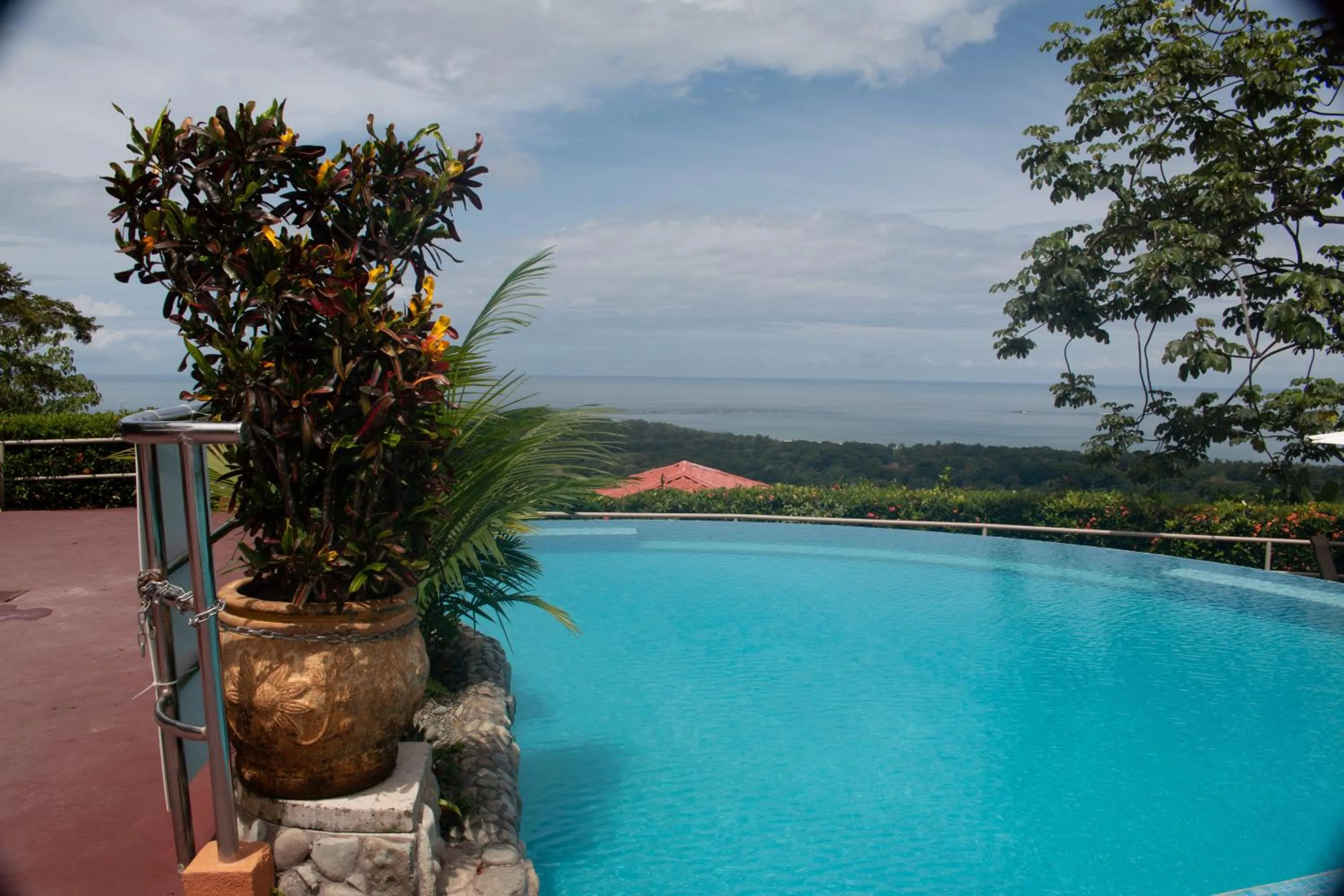 Swimming pool in Vista Ballena