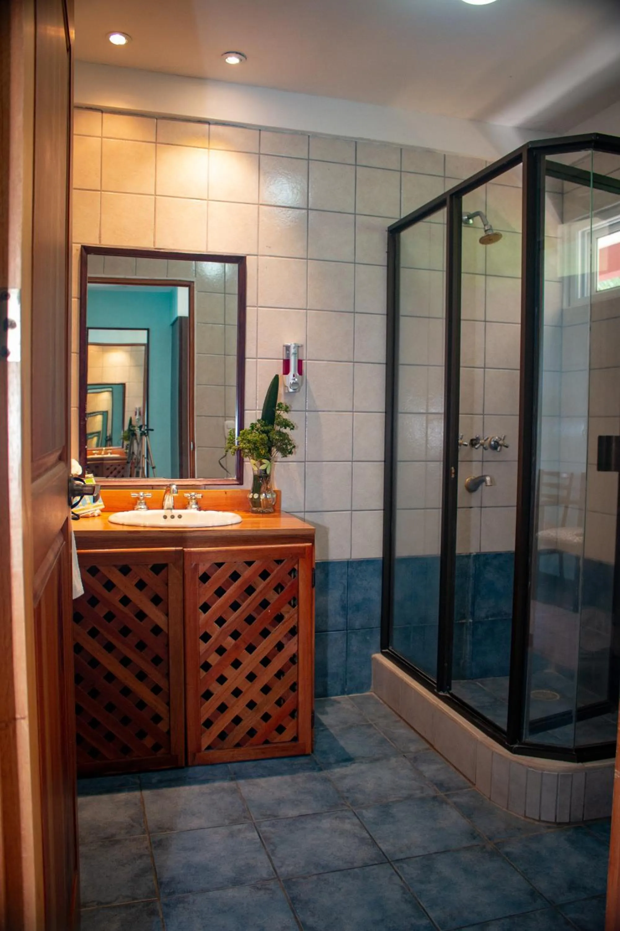 Shower in Vista Ballena