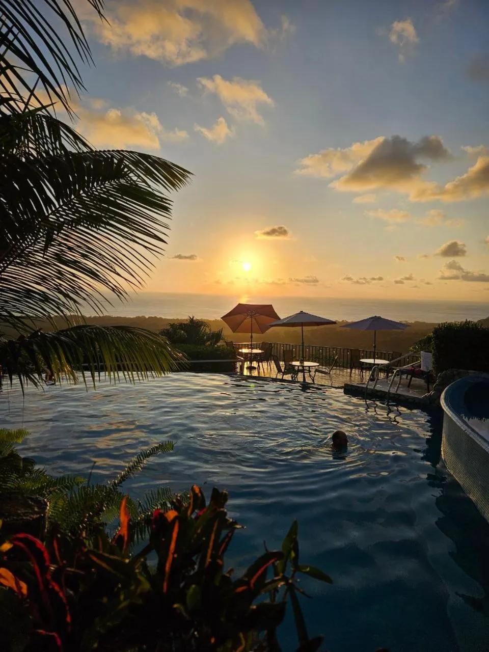 Restaurant/places to eat in Vista Ballena