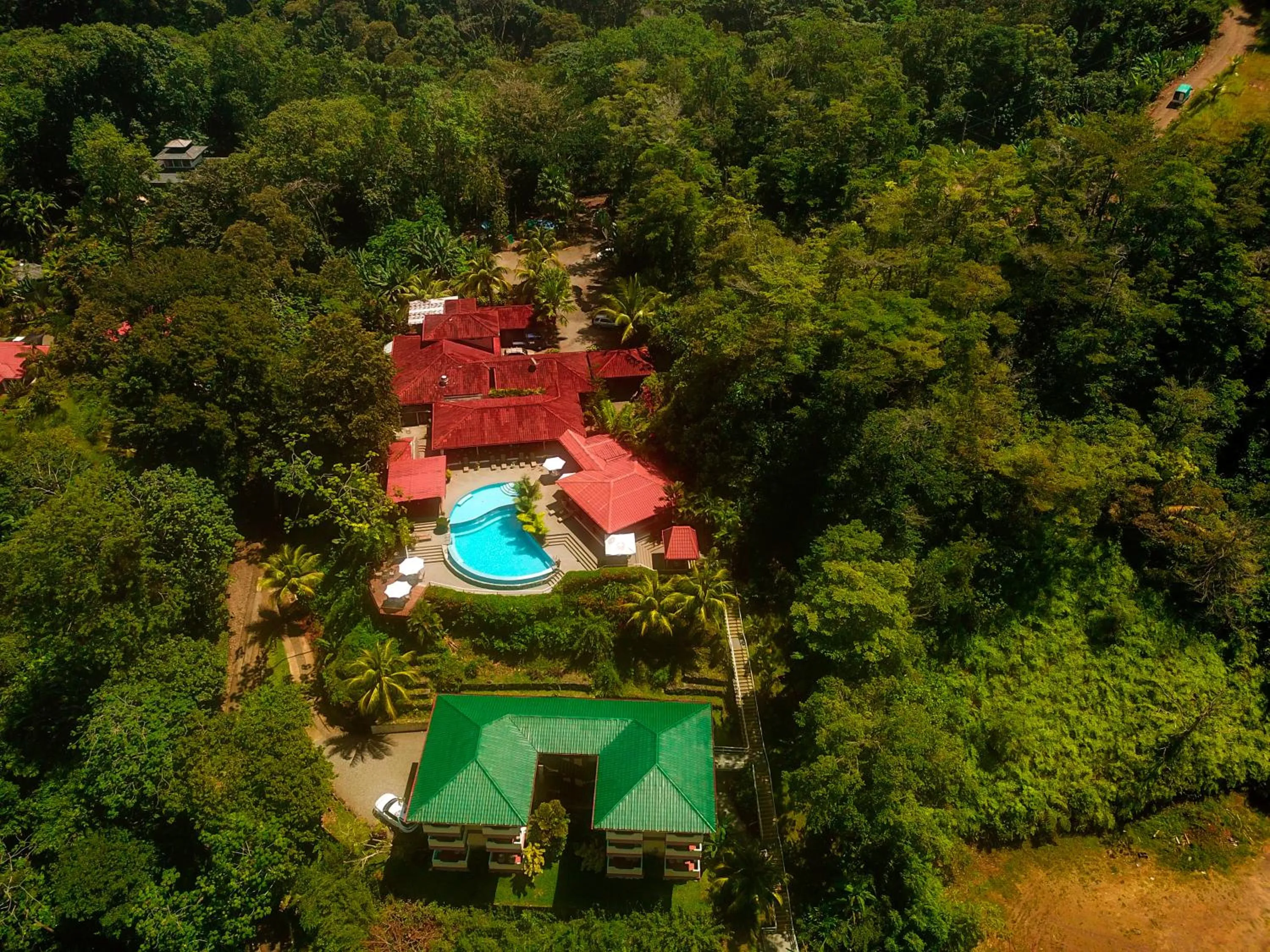 Bird's eye view in Vista Ballena