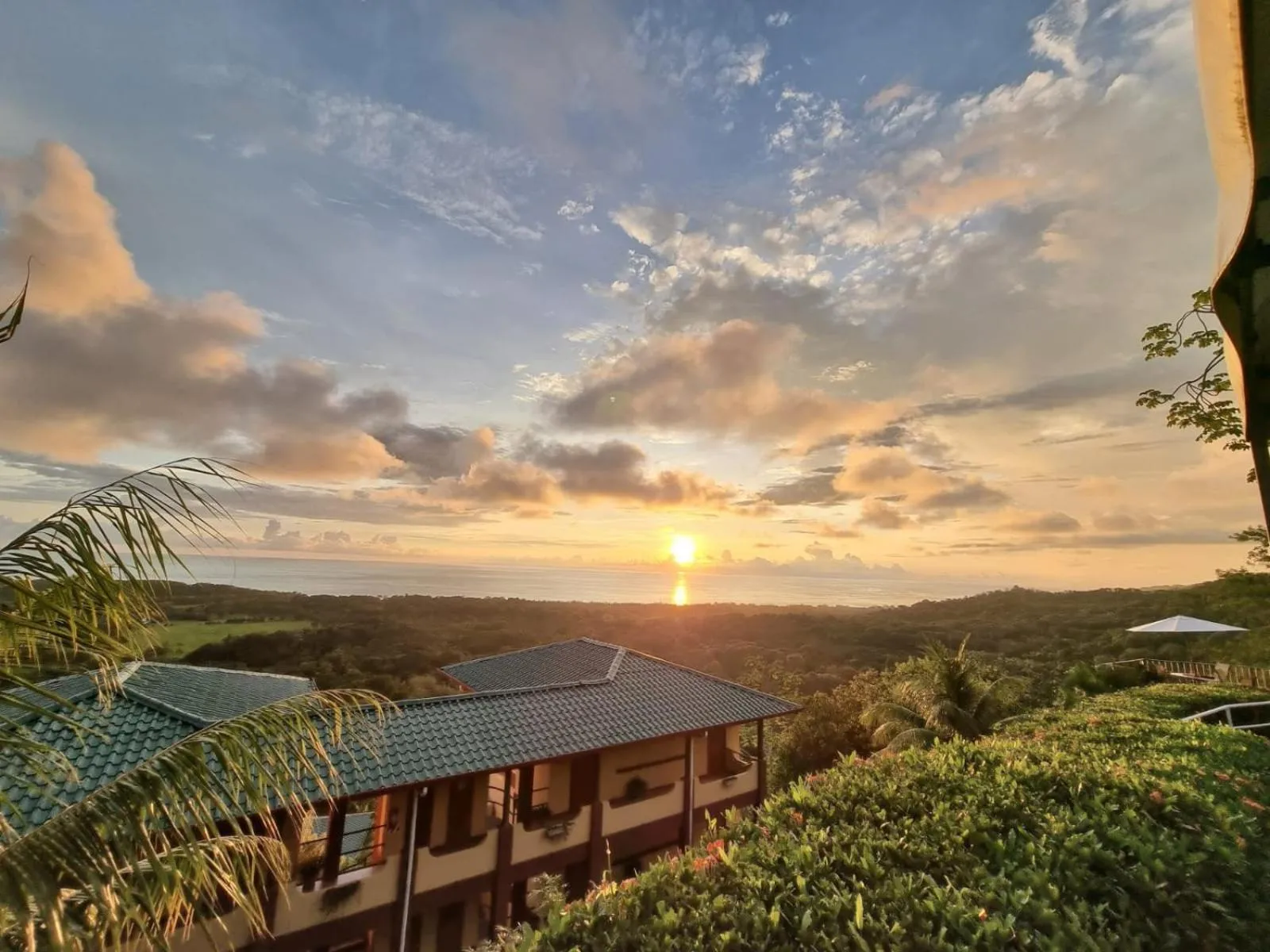 Natural landscape in Vista Ballena