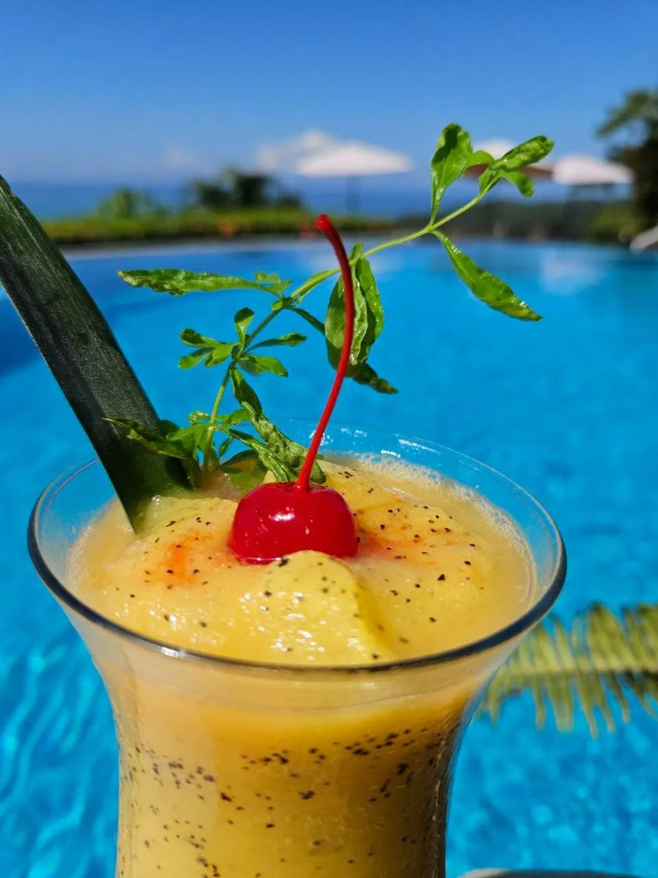 Restaurant/places to eat in Vista Ballena