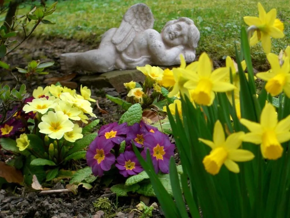Garden in Hotel Haus am Park