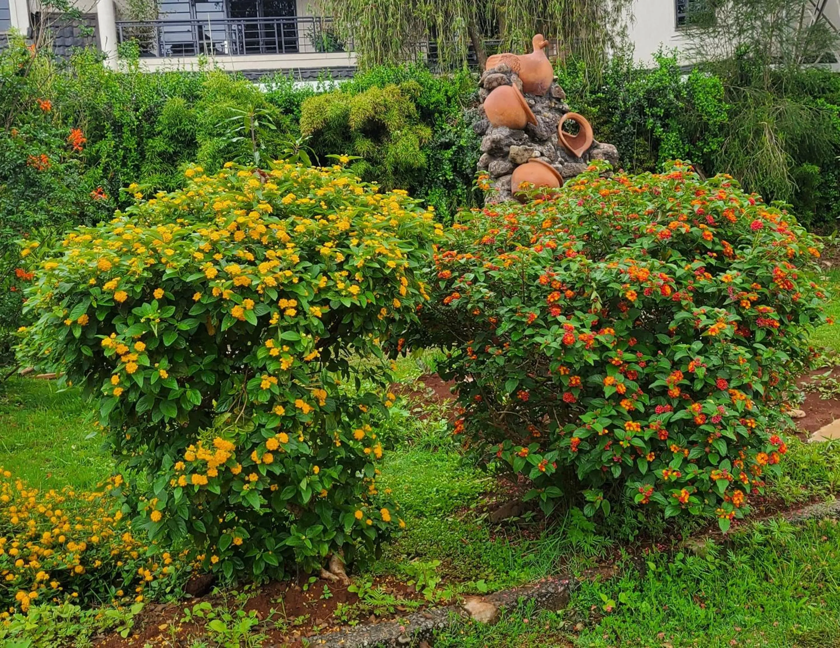 Garden view in Edaala Comfort - B&B