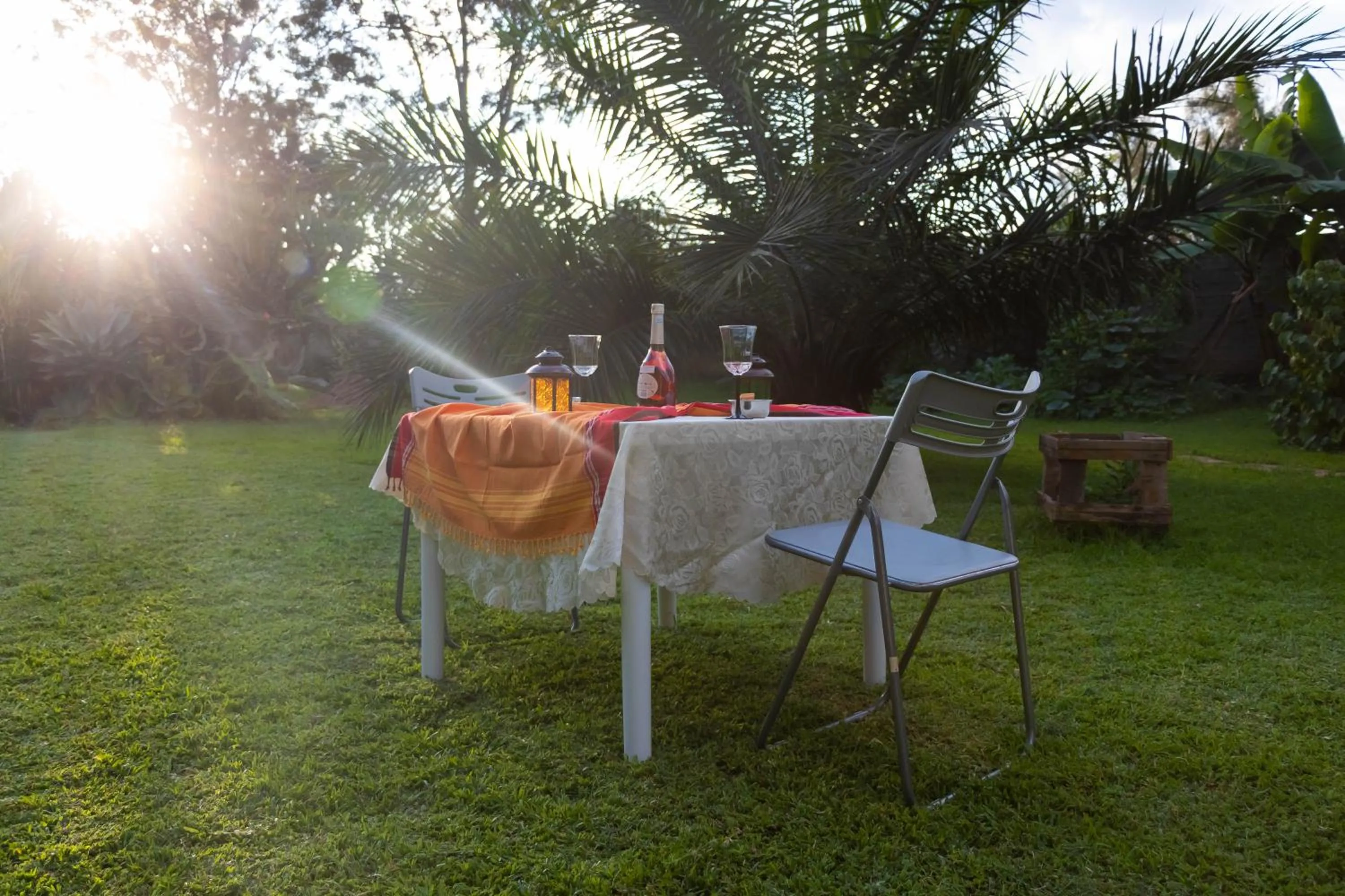 Garden in Edaala Comfort - B&B