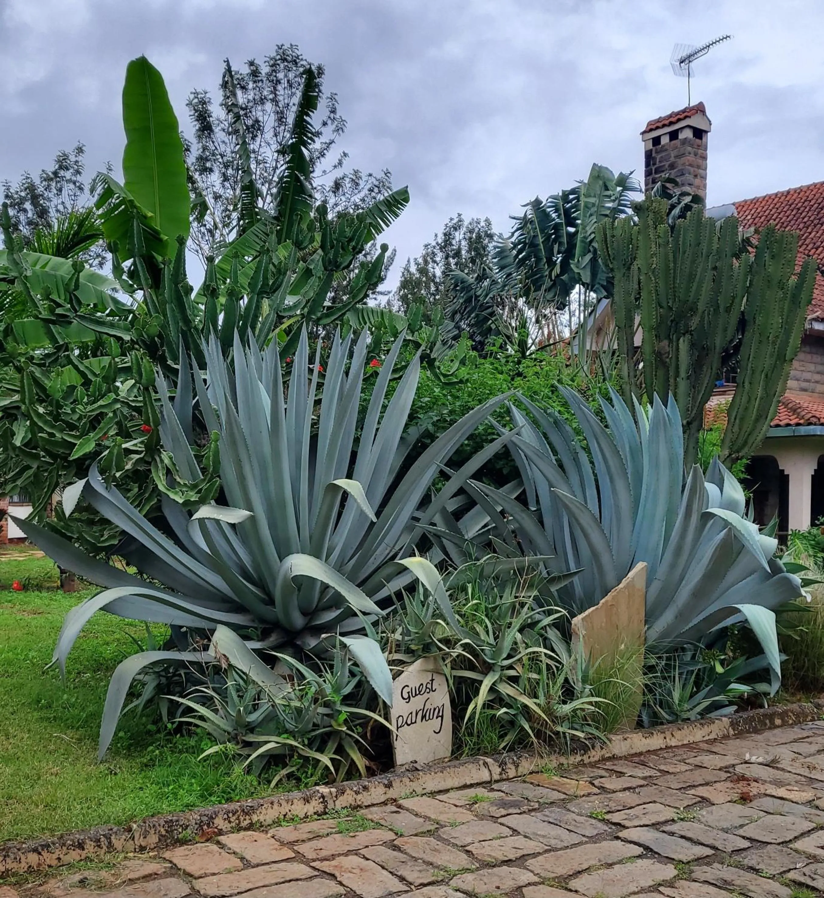 Garden view in Edaala Comfort - B&B