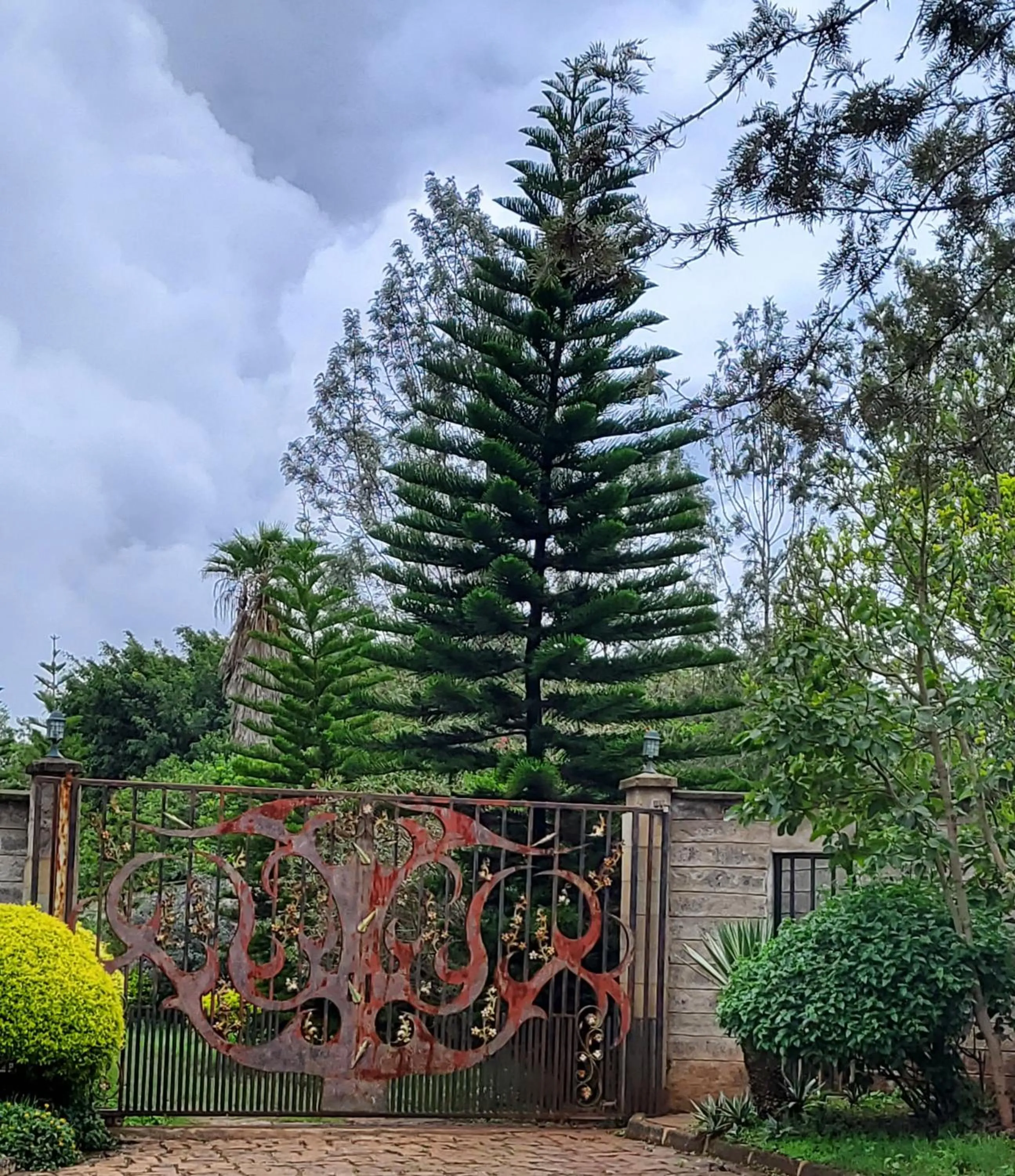 Facade/entrance in Edaala Comfort - B&B