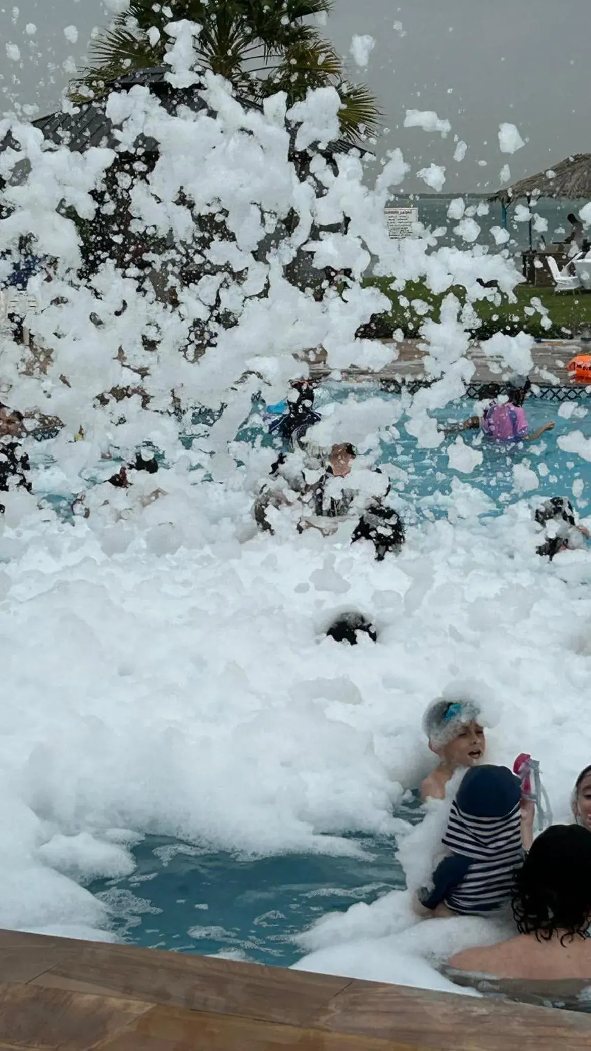 Deluxe King Room in Flamingo Beach Hotel Deluxe King Room in Flamingo Beach Hotel