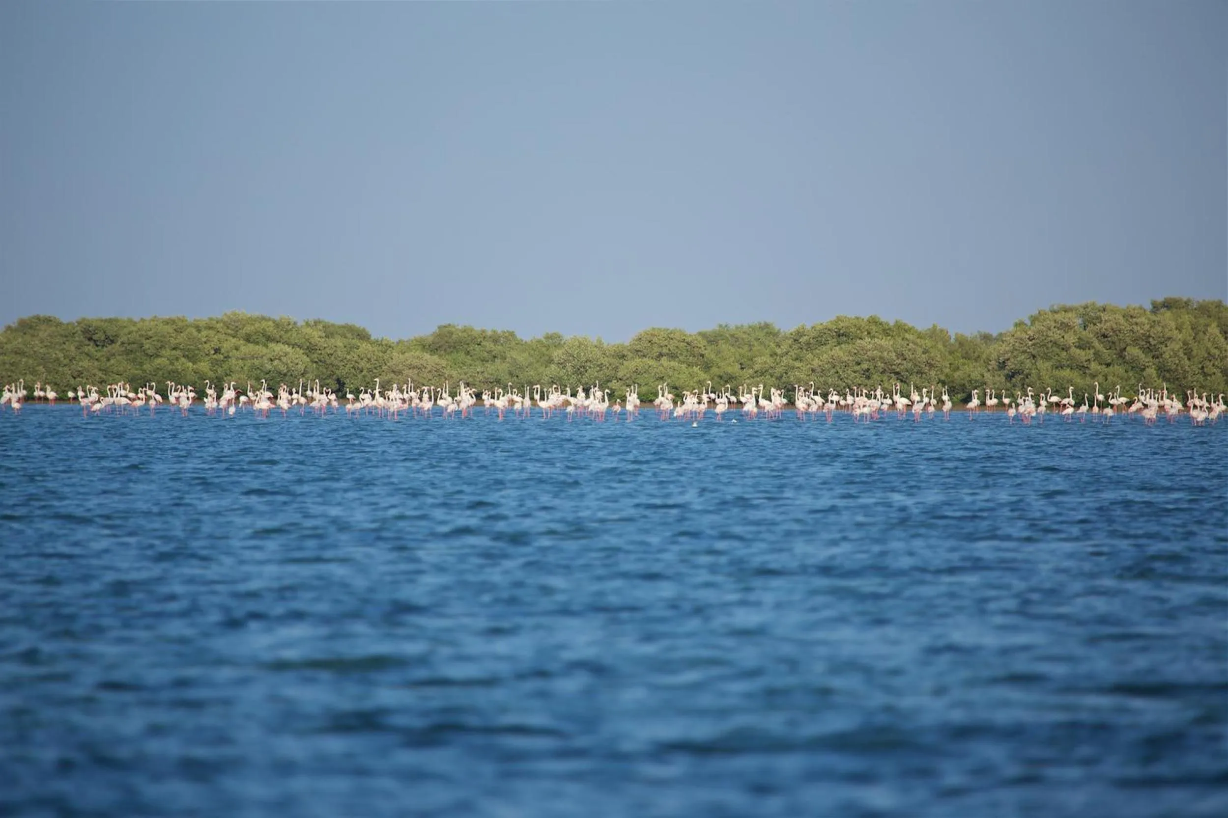 Sea view in Flamingo Beach Hotel