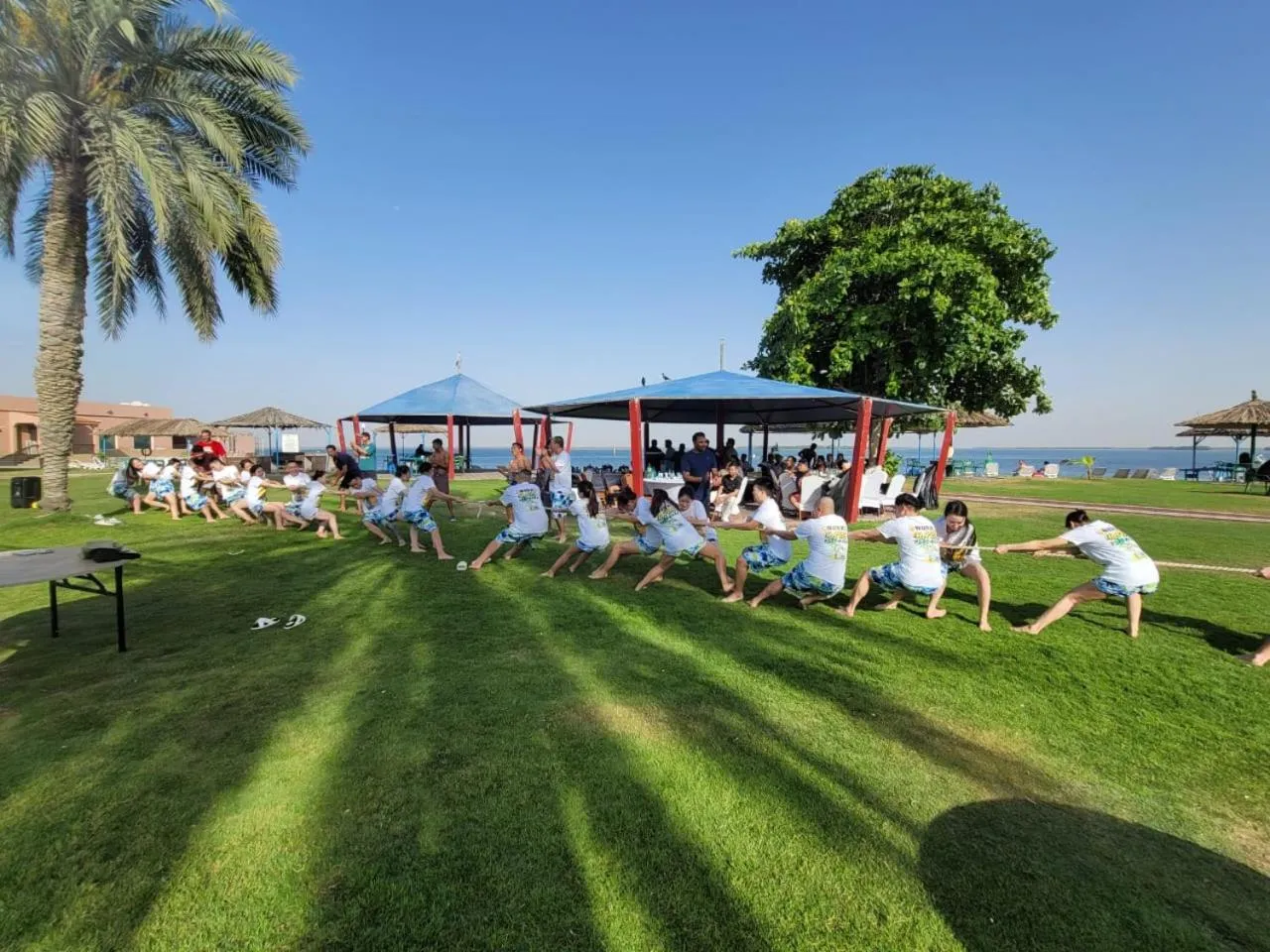 Day in Flamingo Beach Hotel