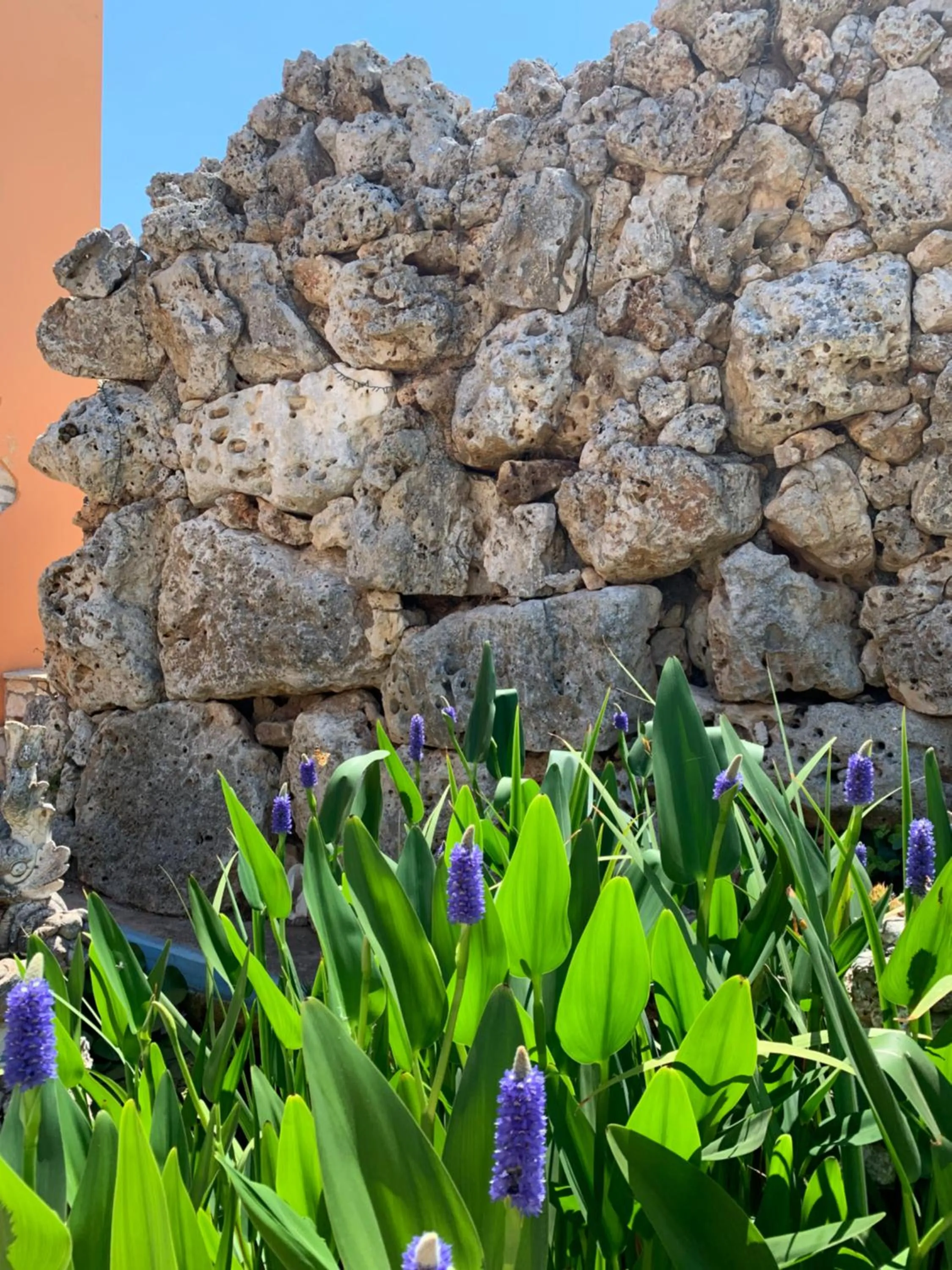 Property building in Barsentello