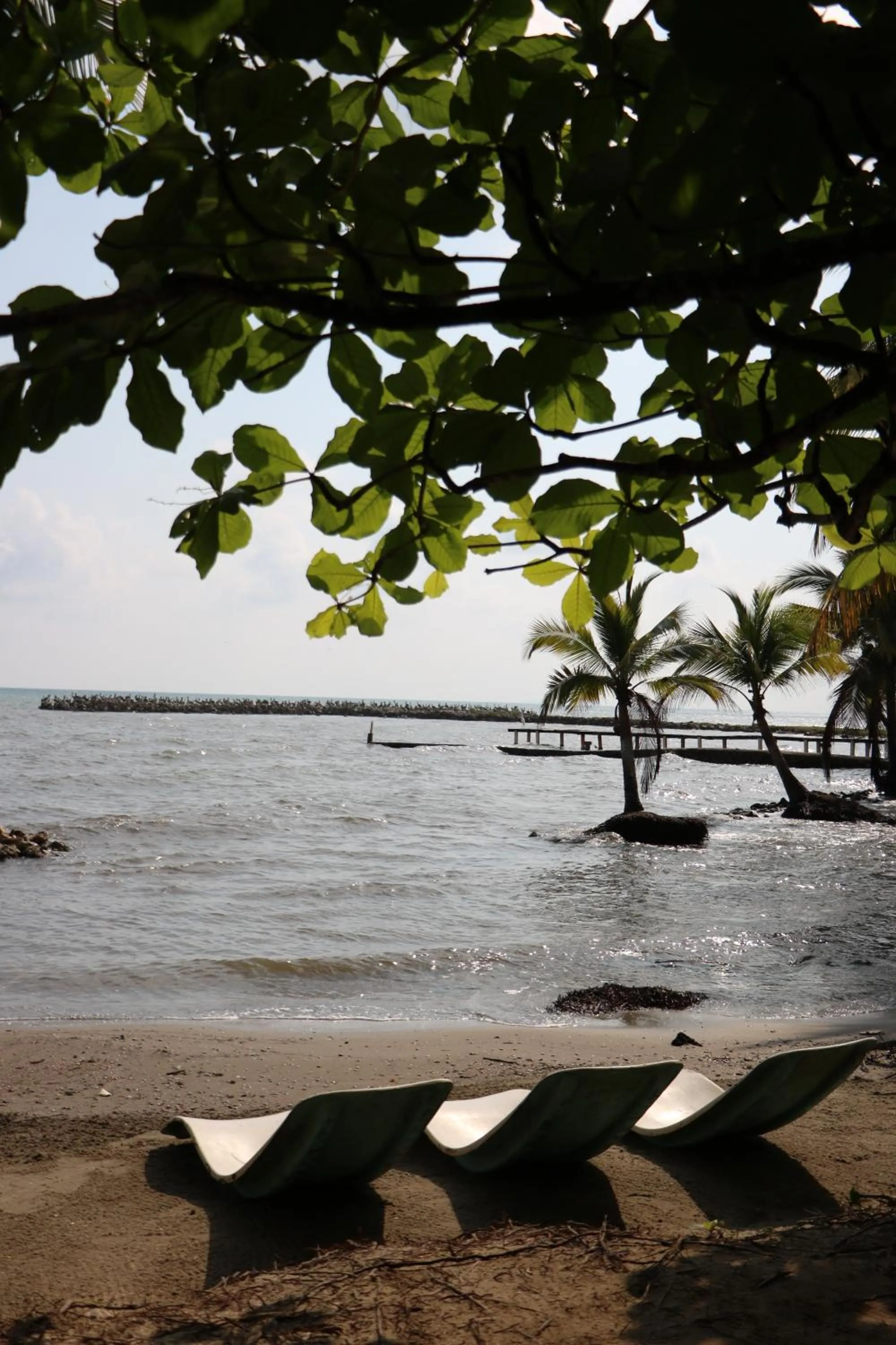 Sea view in Hotel Salvador Gaviota