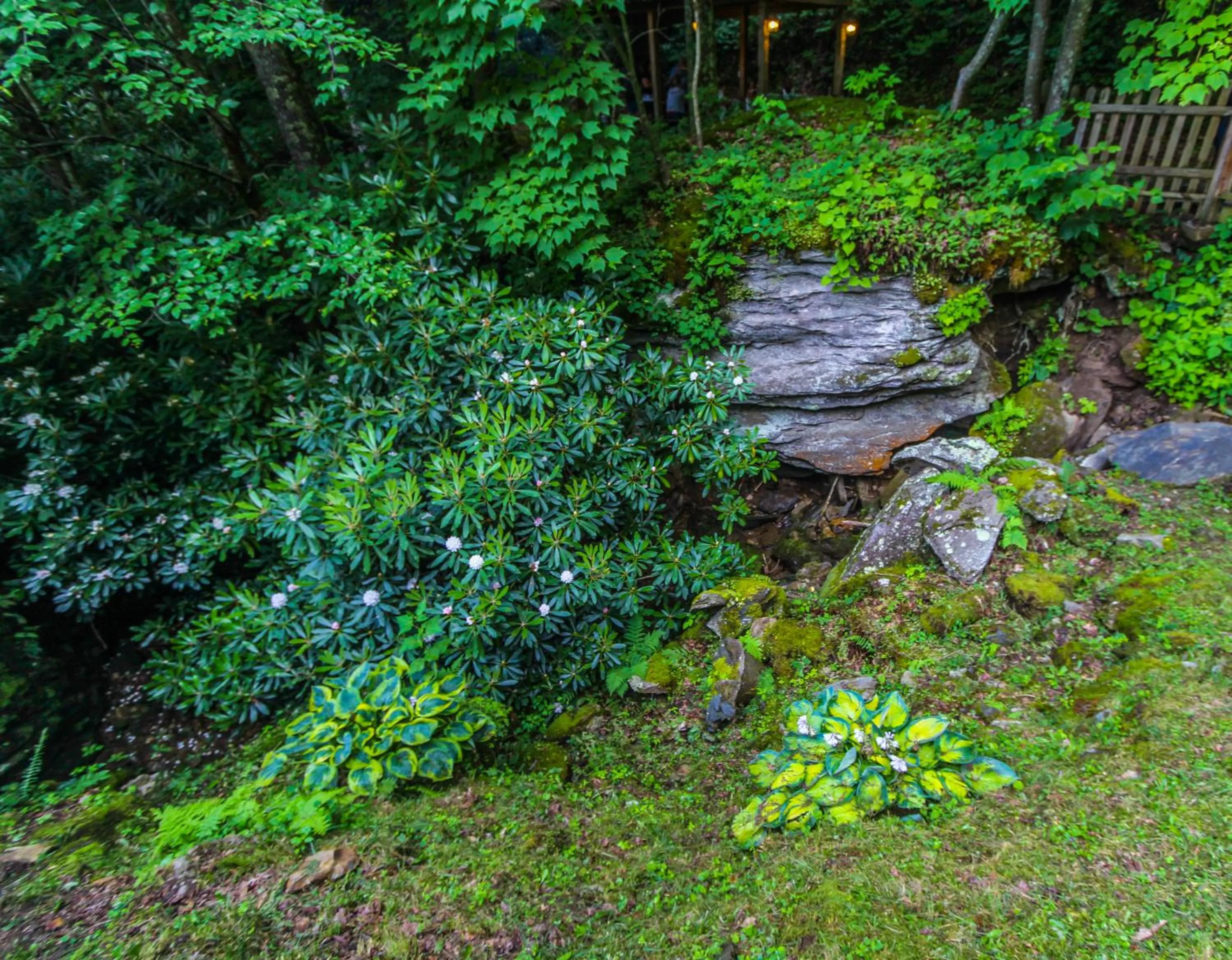 Spring in Smoketree Lodge