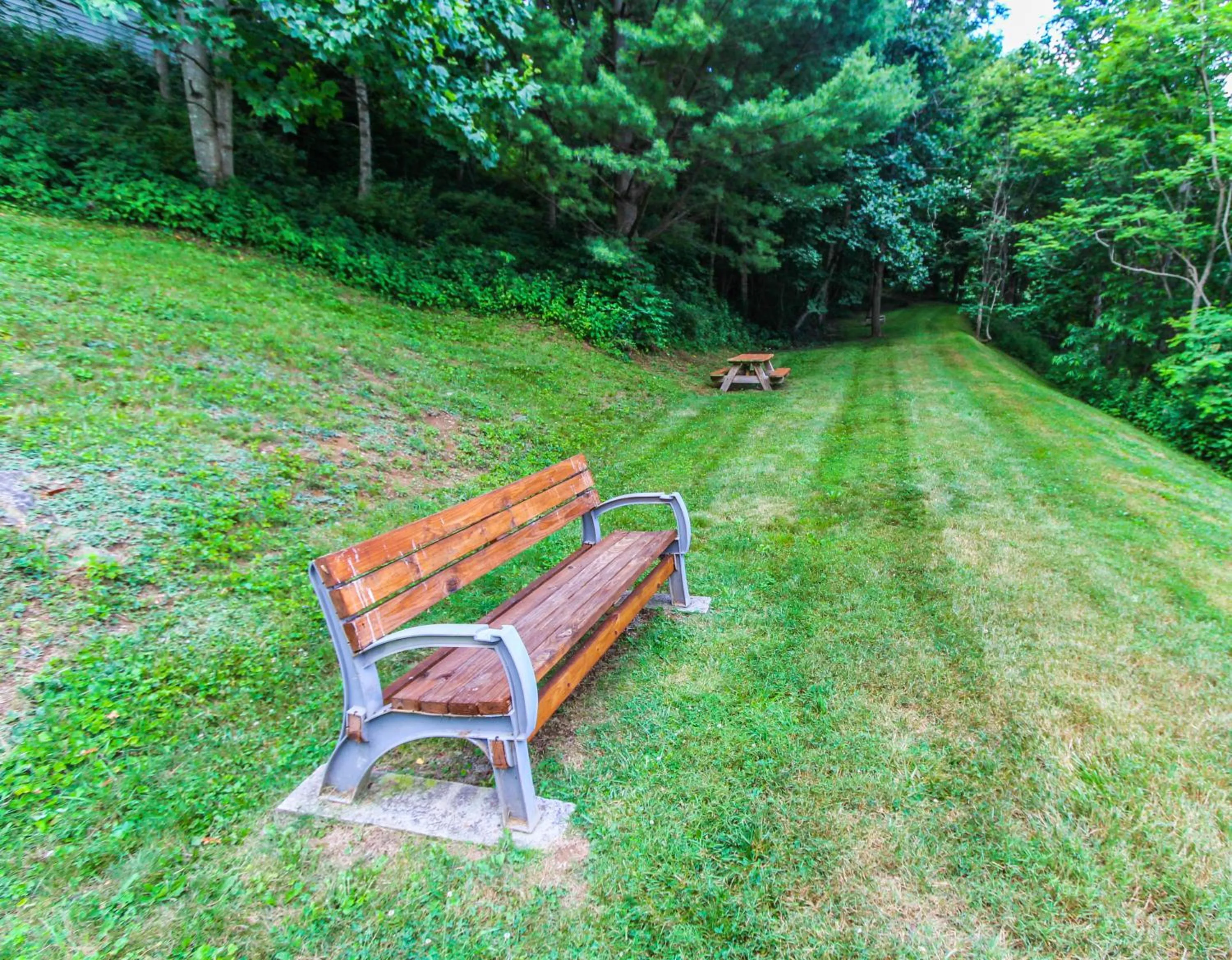 Spring in Smoketree Lodge