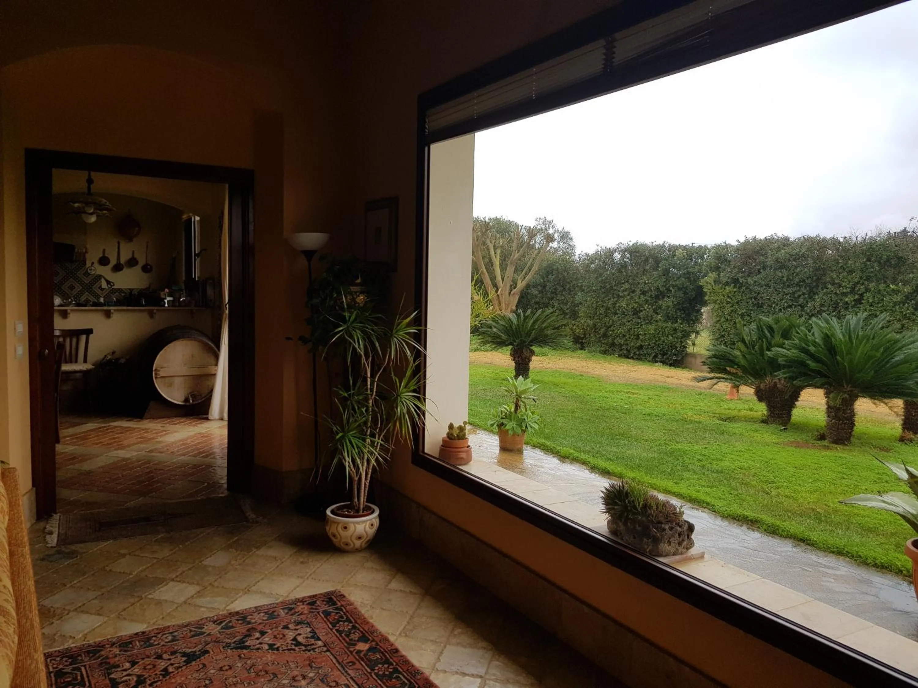 Garden view in Villa i Dammusi