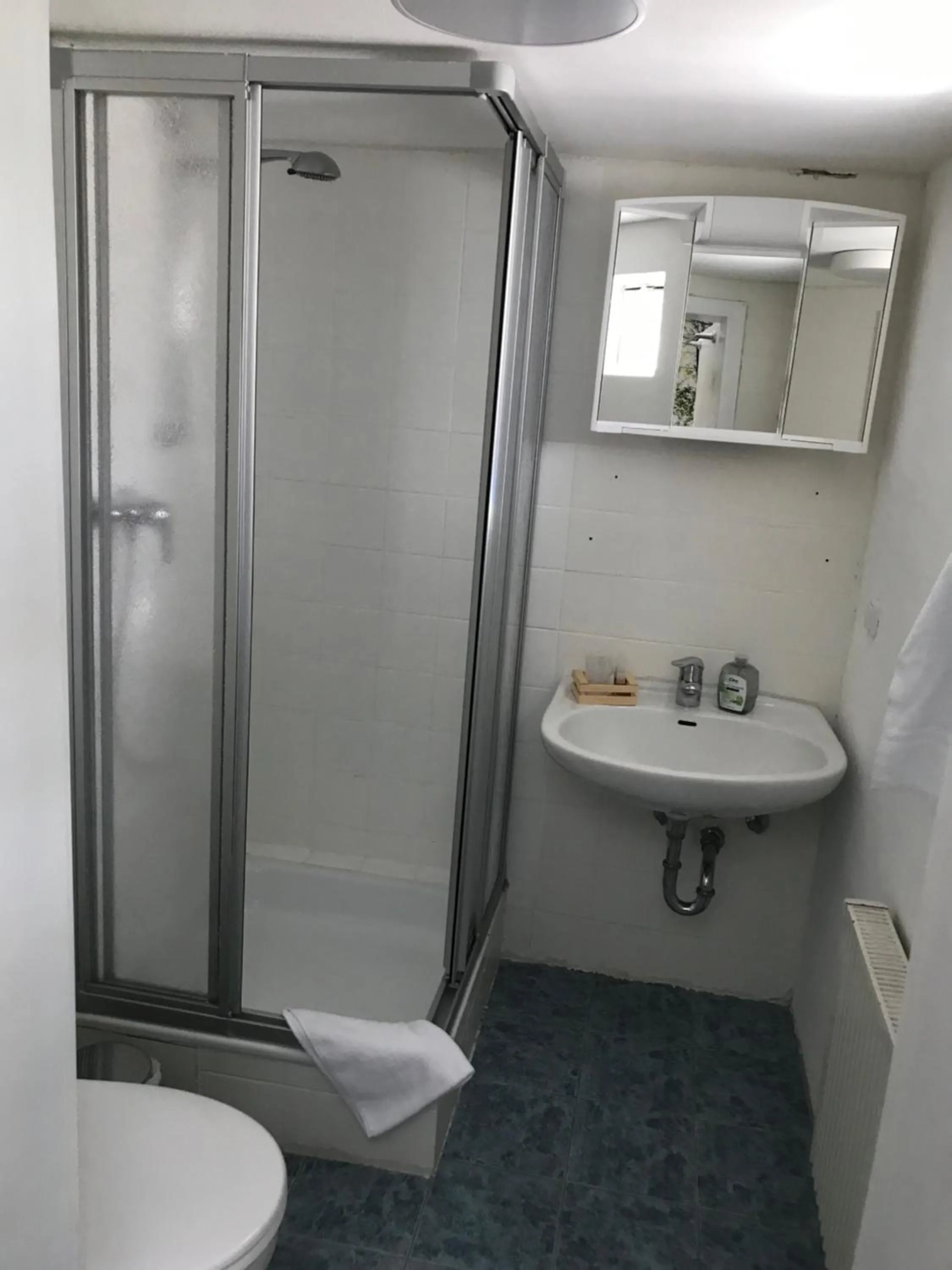 Toilet in Landgasthof Zum Dorfkrug