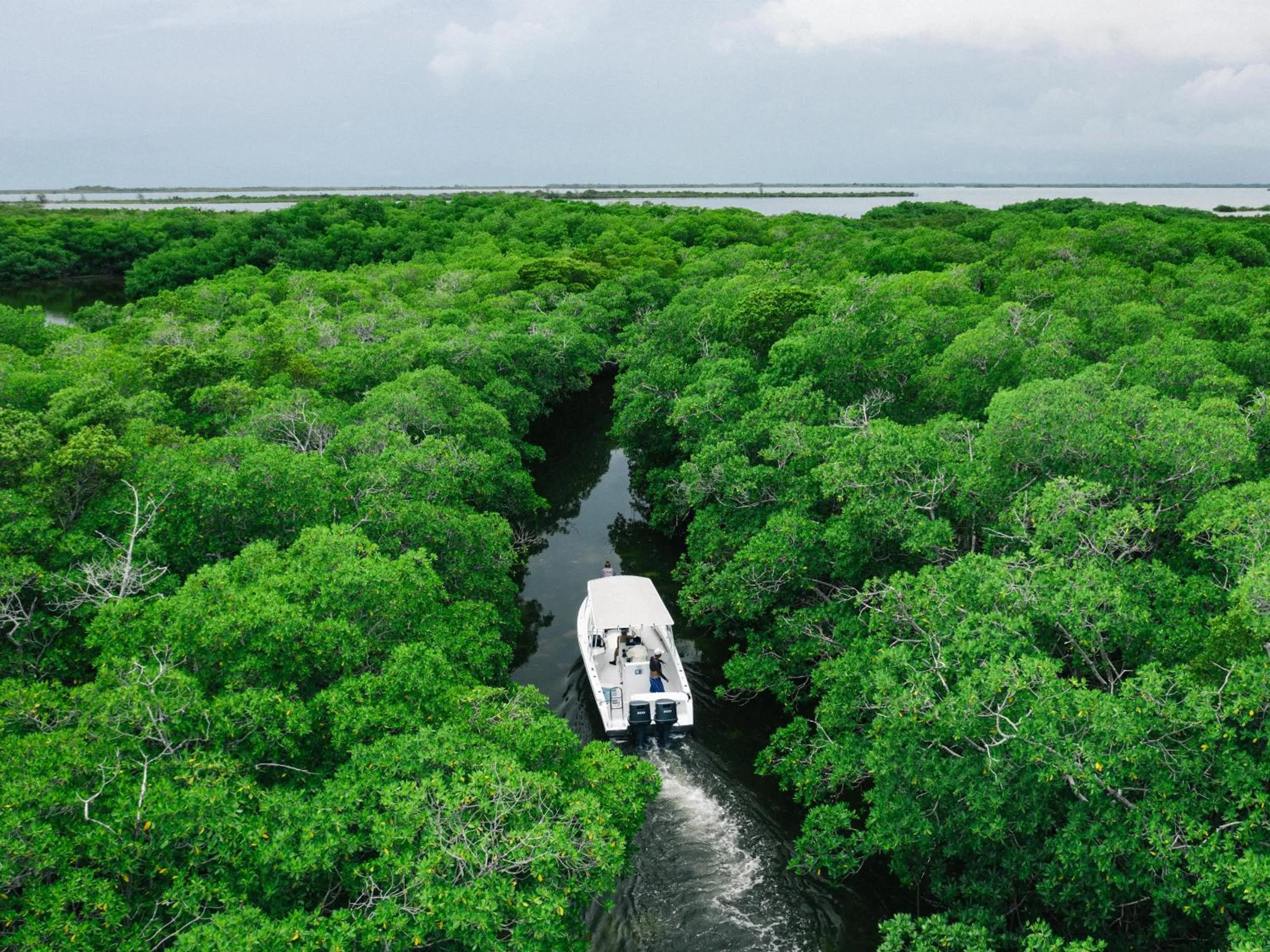 Day in Orchid Bay Resort