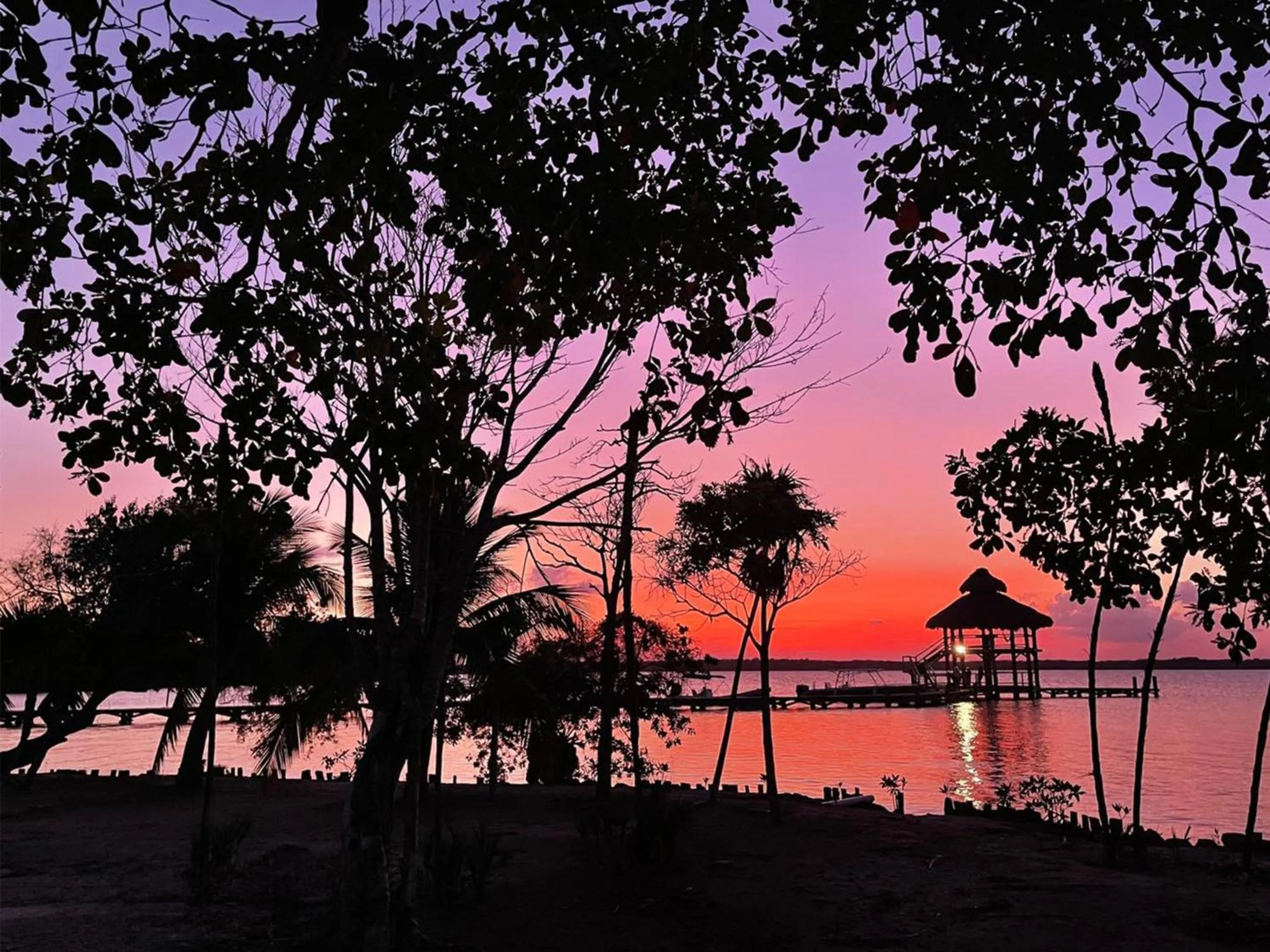 View (from property/room) in Orchid Bay Resort
