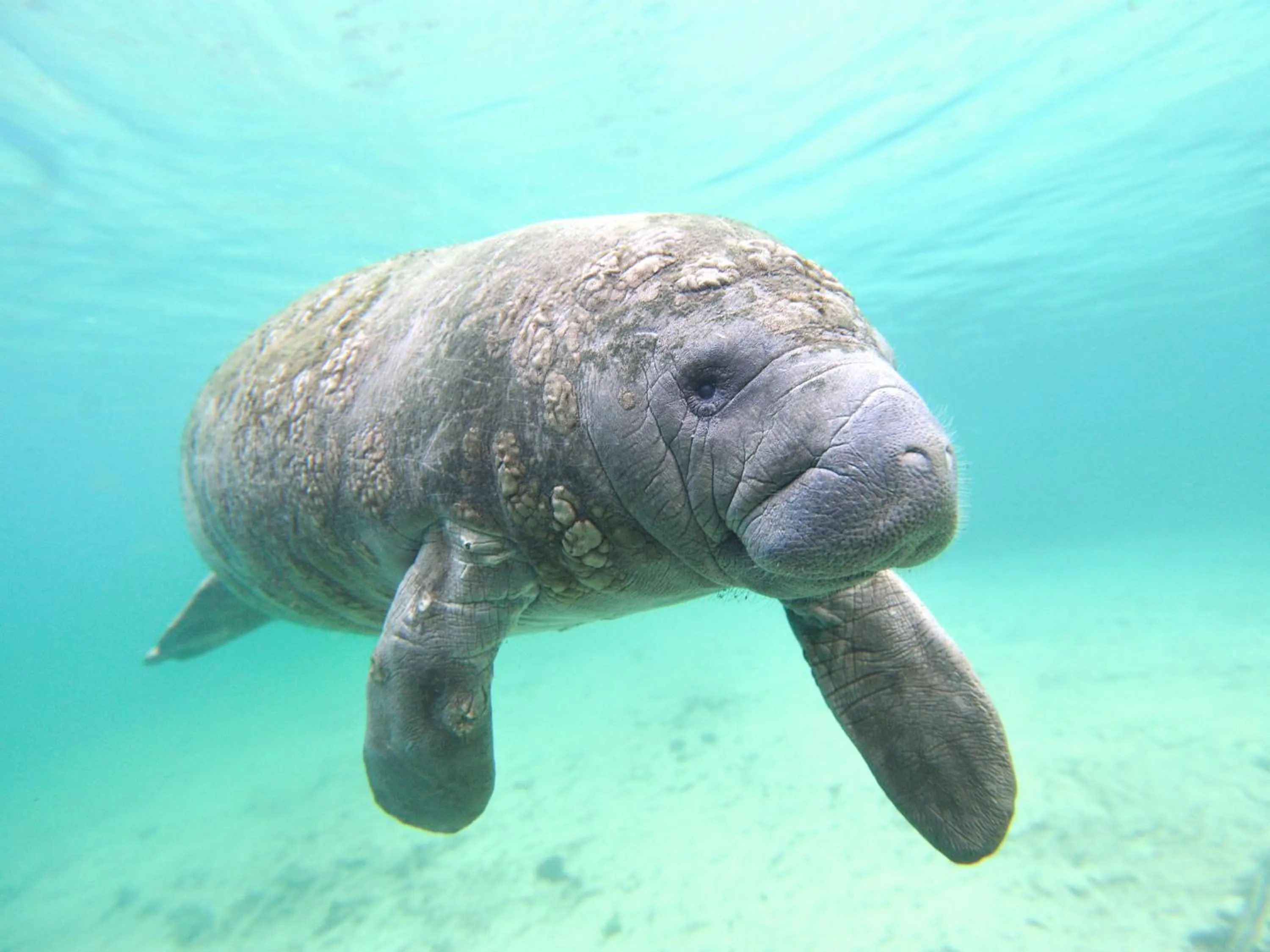 Activities in Orchid Bay Resort