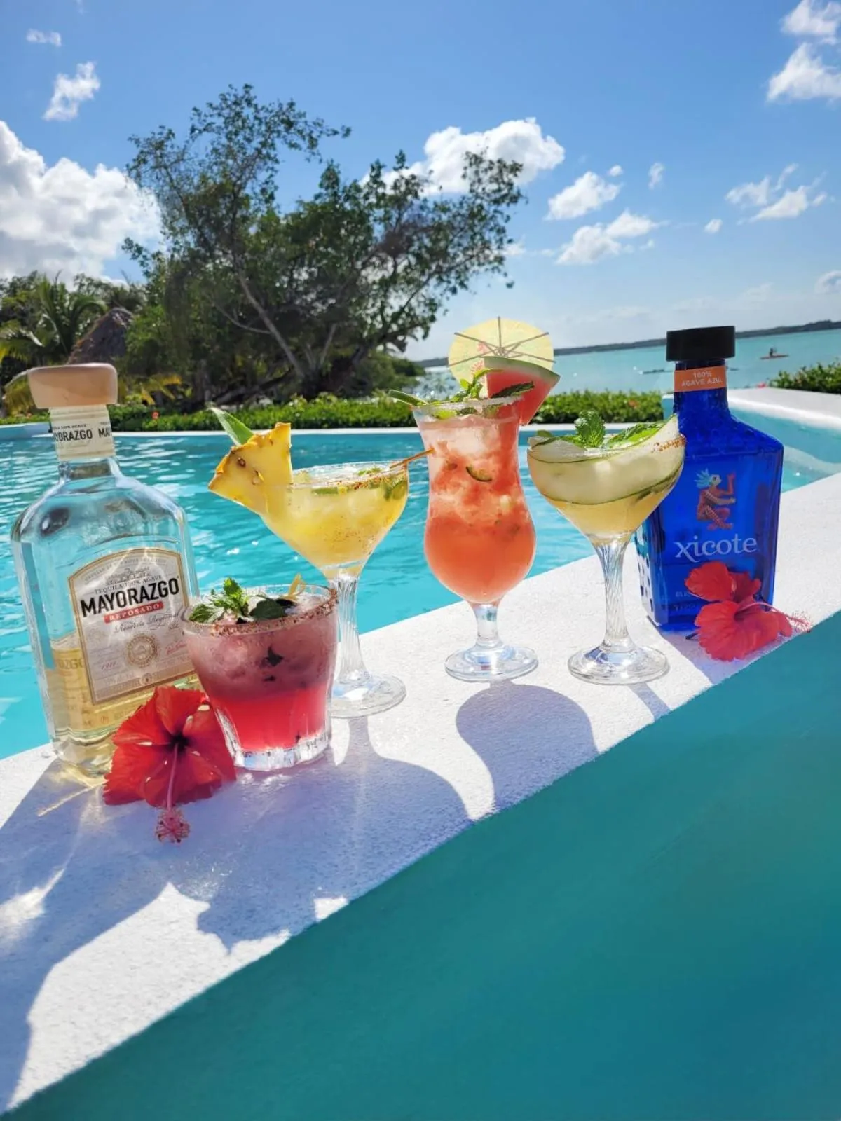 Food and drinks in Orchid Bay Resort