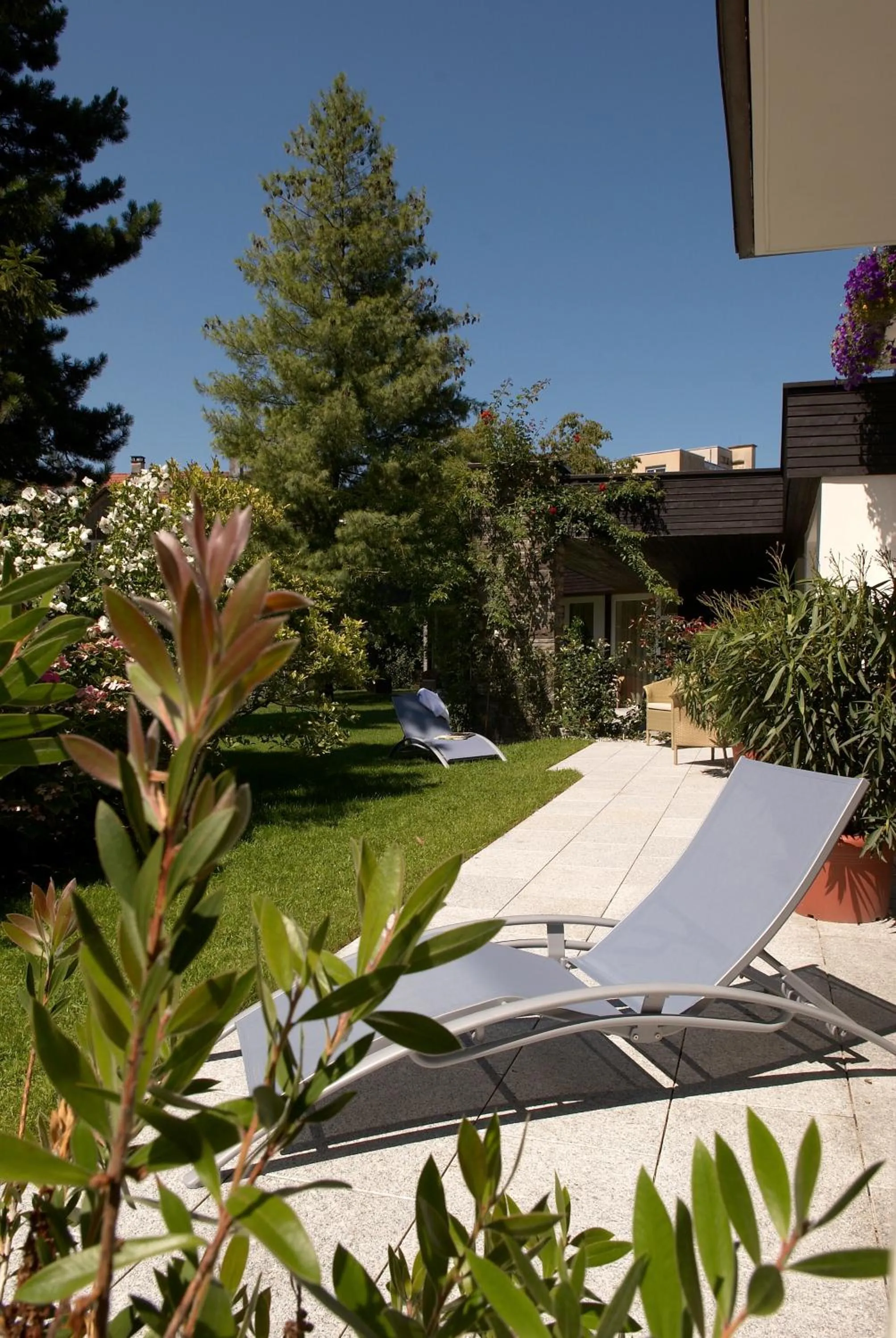 Garden in Hotel Krone