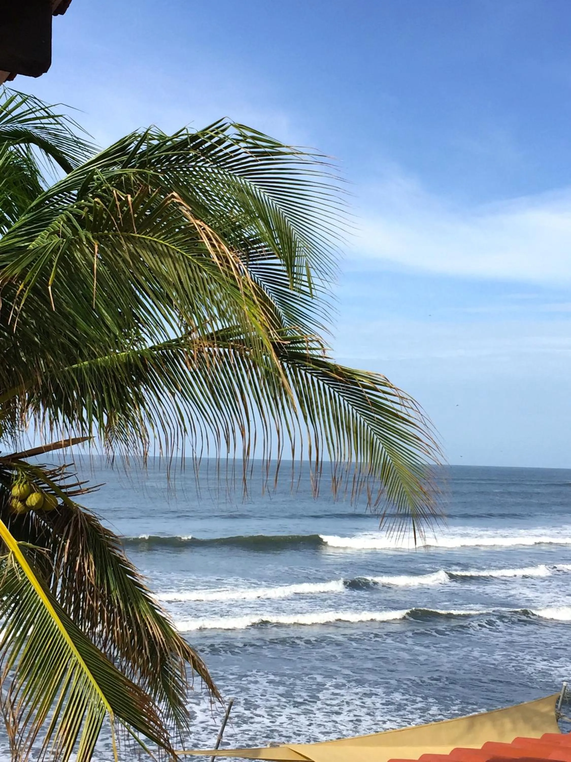 Day in Vista Las Olas Resort