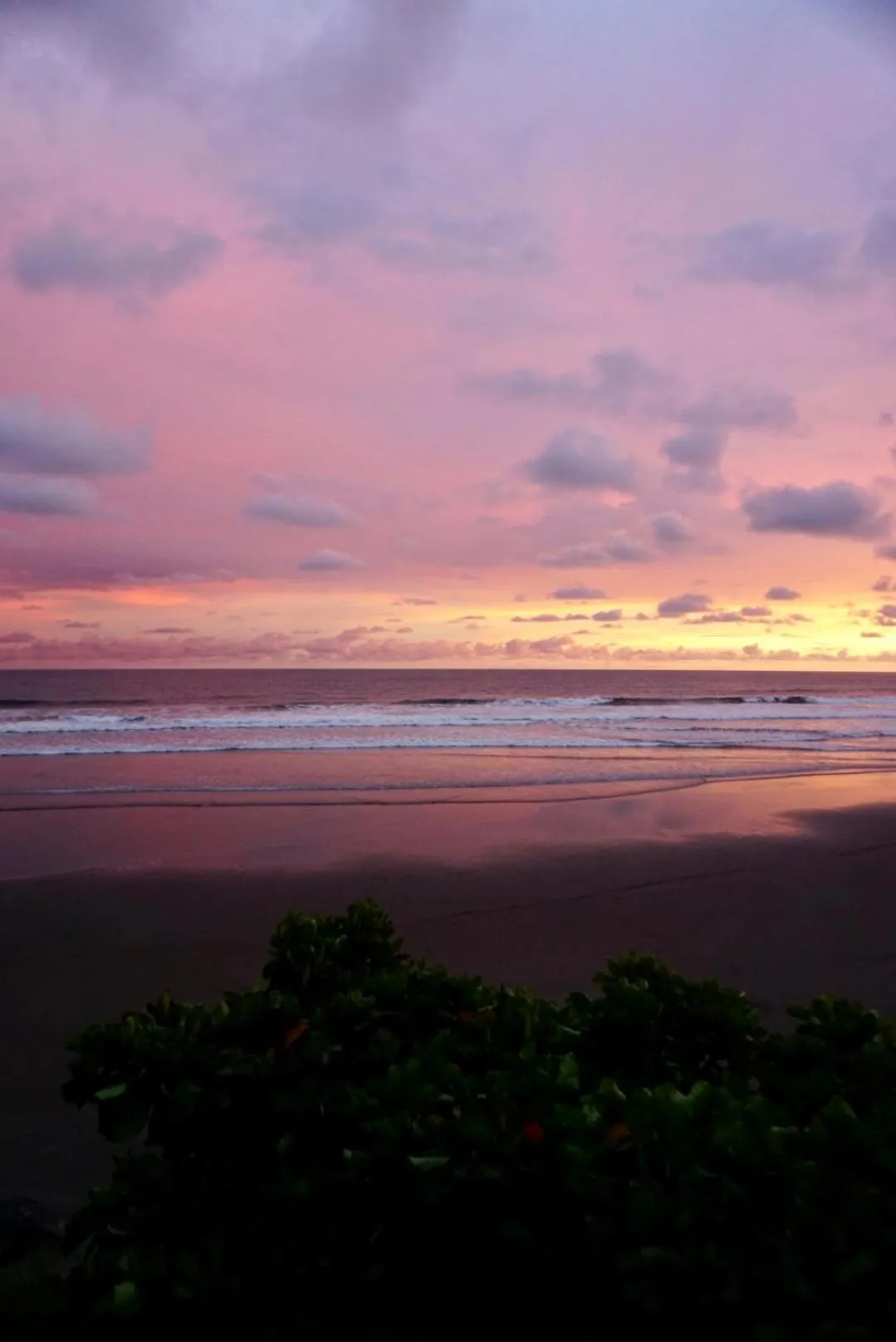 Natural landscape in Vista Las Olas Resort
