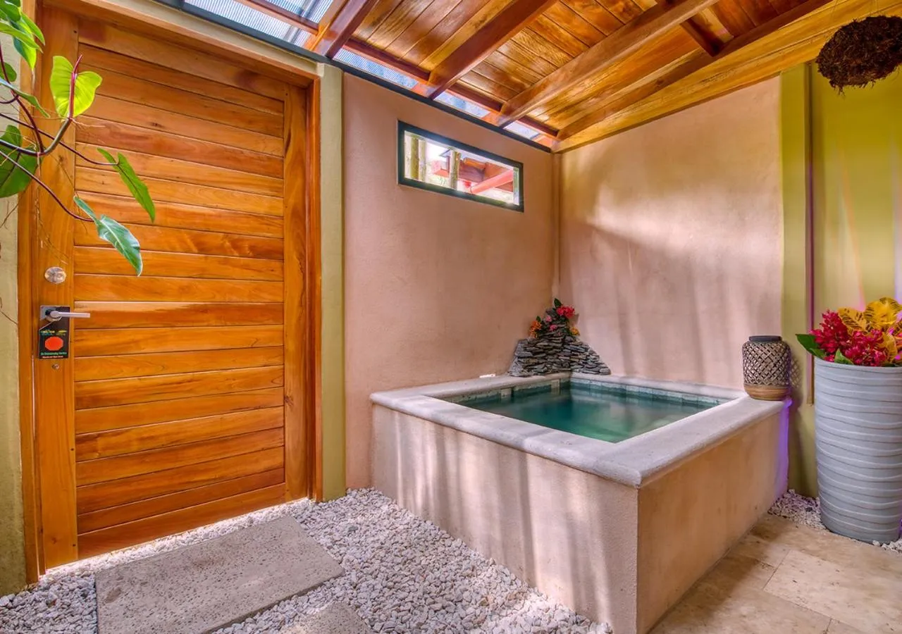 Photo of the whole room in Hotel Banana Azul - Adults Only