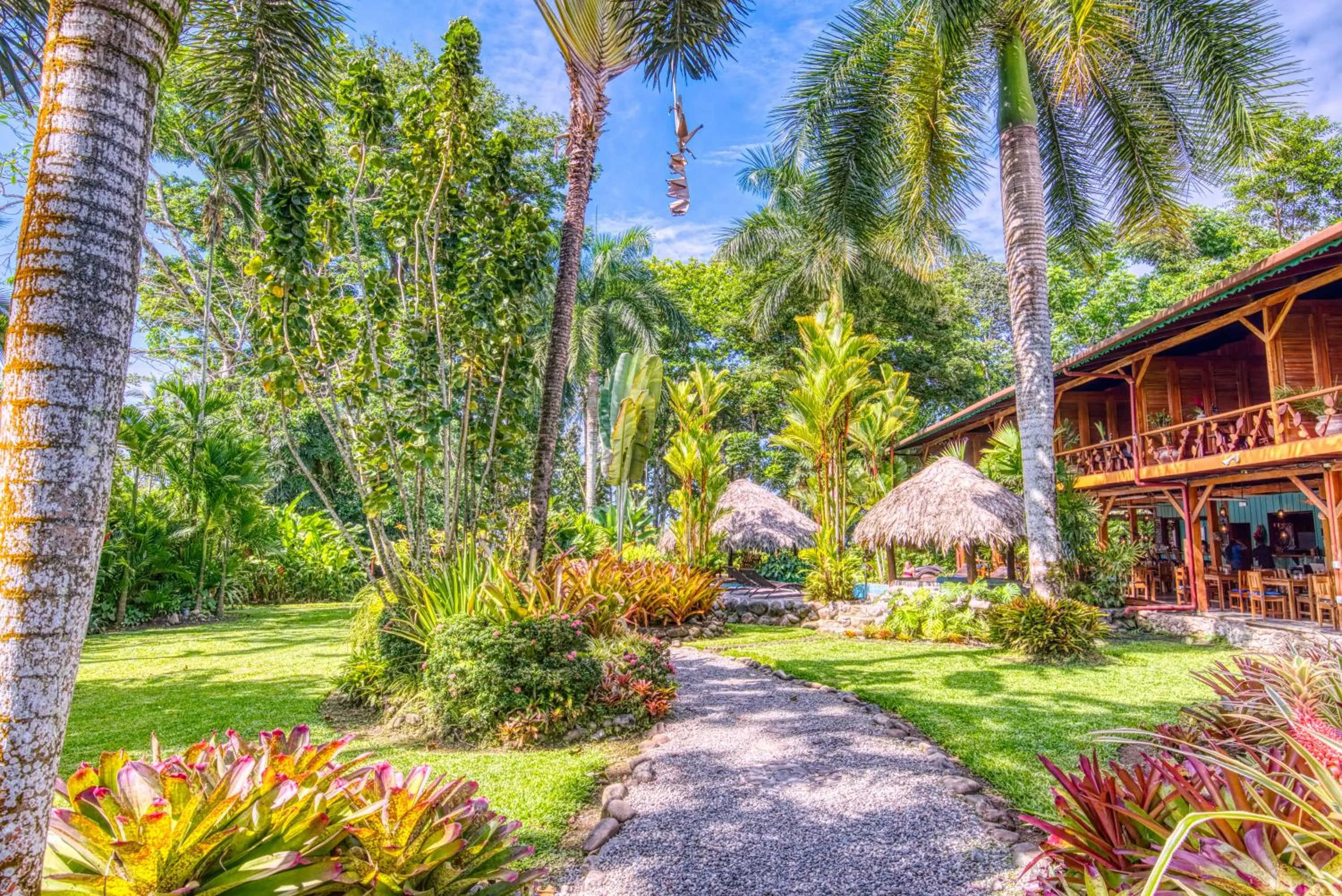 Restaurant/places to eat in Hotel Banana Azul - Adults Only