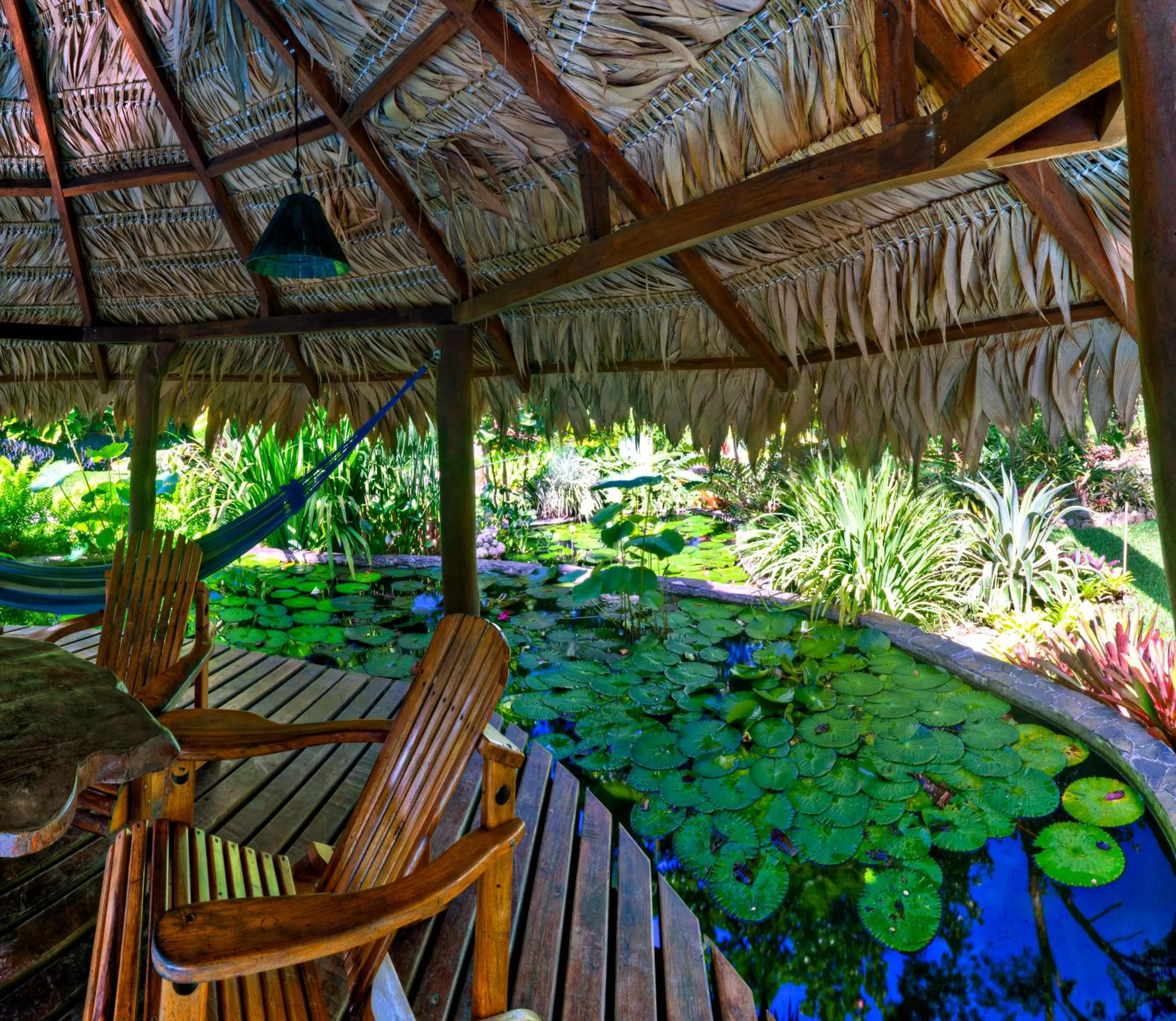 Day in Hotel Banana Azul - Adults Only