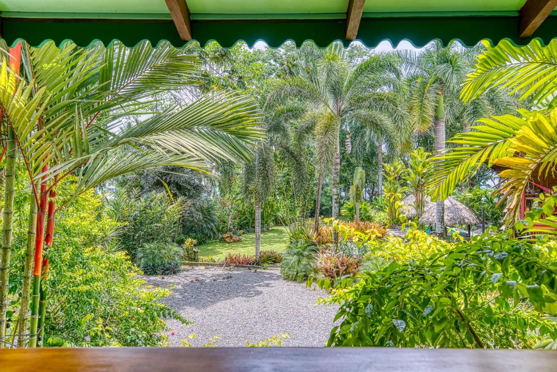 Natural landscape in Hotel Banana Azul - Adults Only