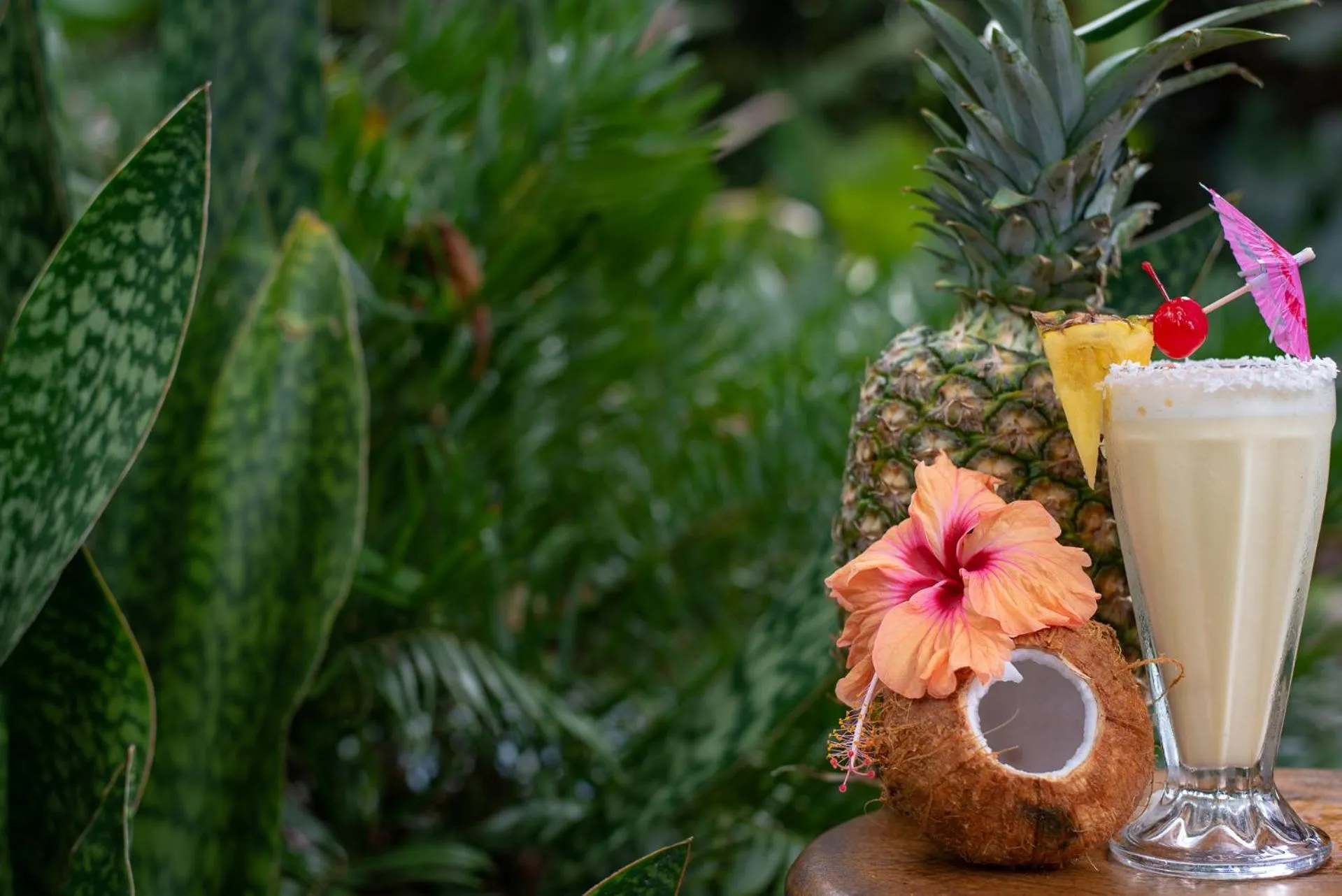 Food and drinks in Hotel Banana Azul - Adults Only