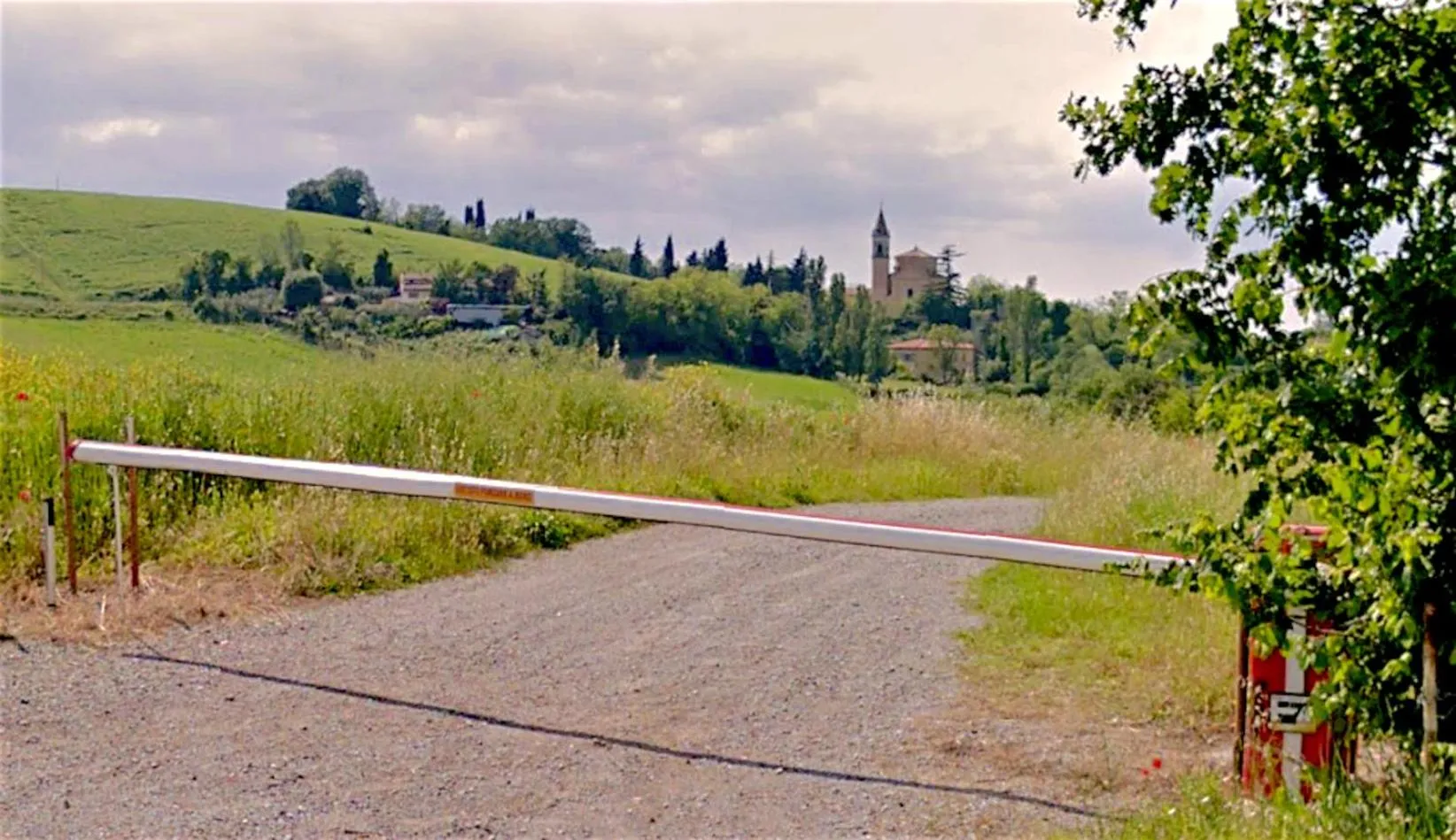 Natural landscape in B&B Parco dei cavalli