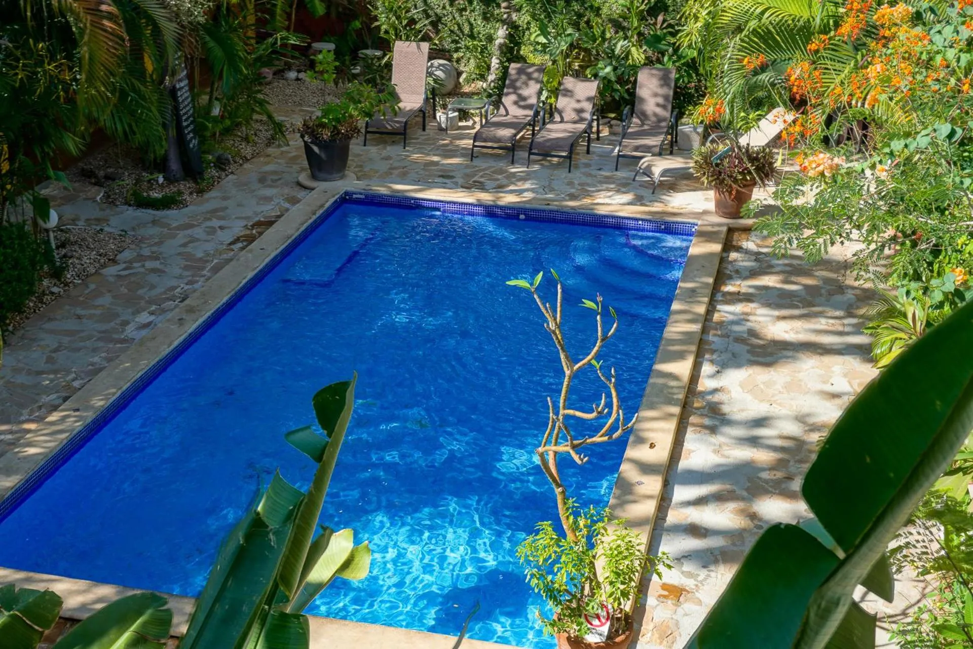 Swimming pool in Conchal Hotel