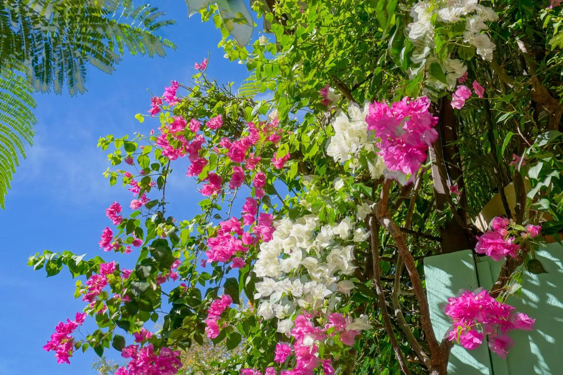 Day in Conchal Hotel