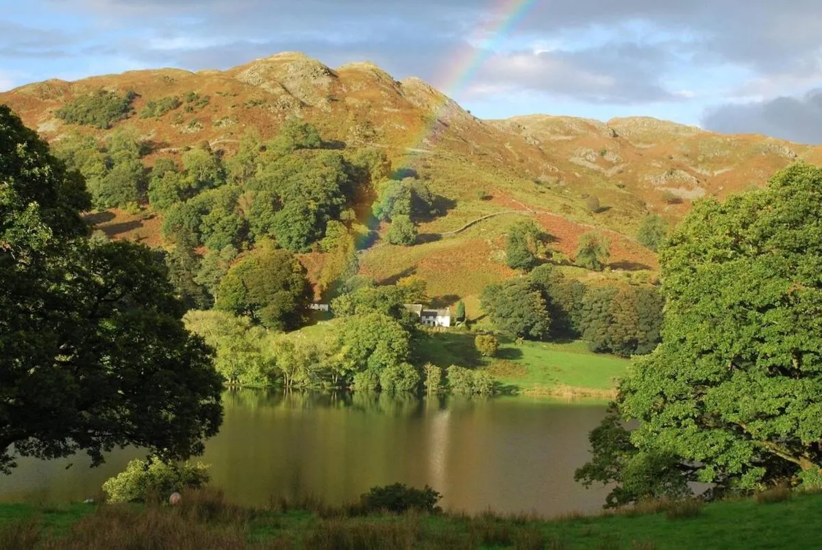 Activities in the punchbowl hotel