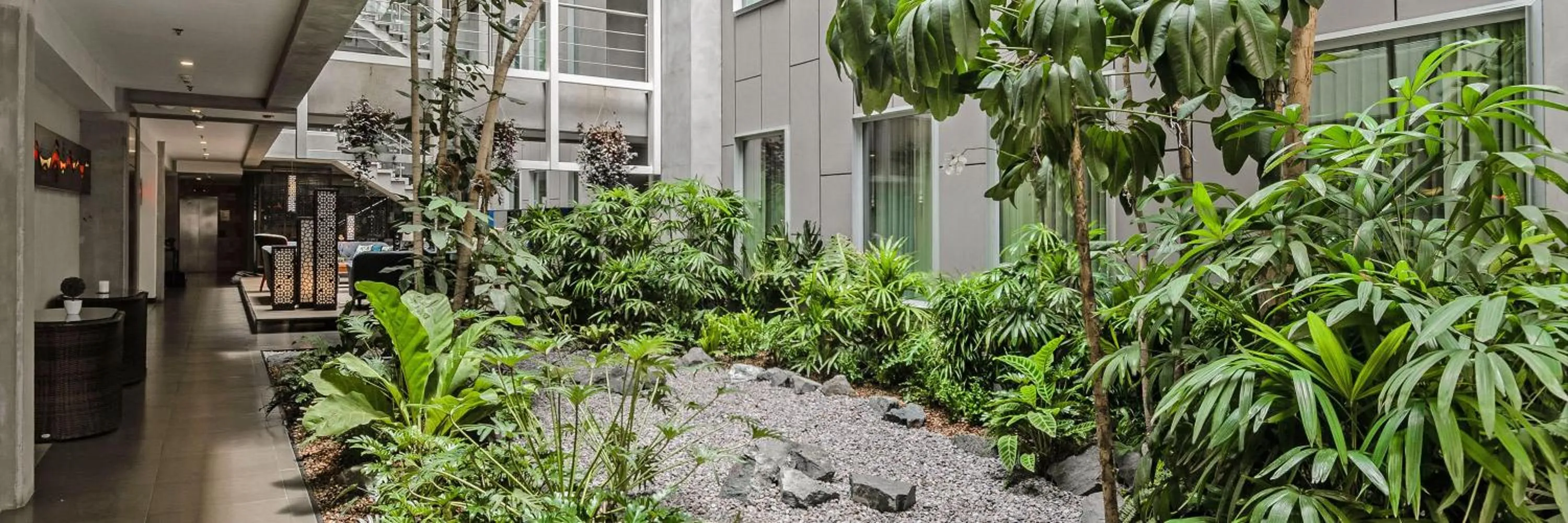 Garden view in Isla Verde Hotel