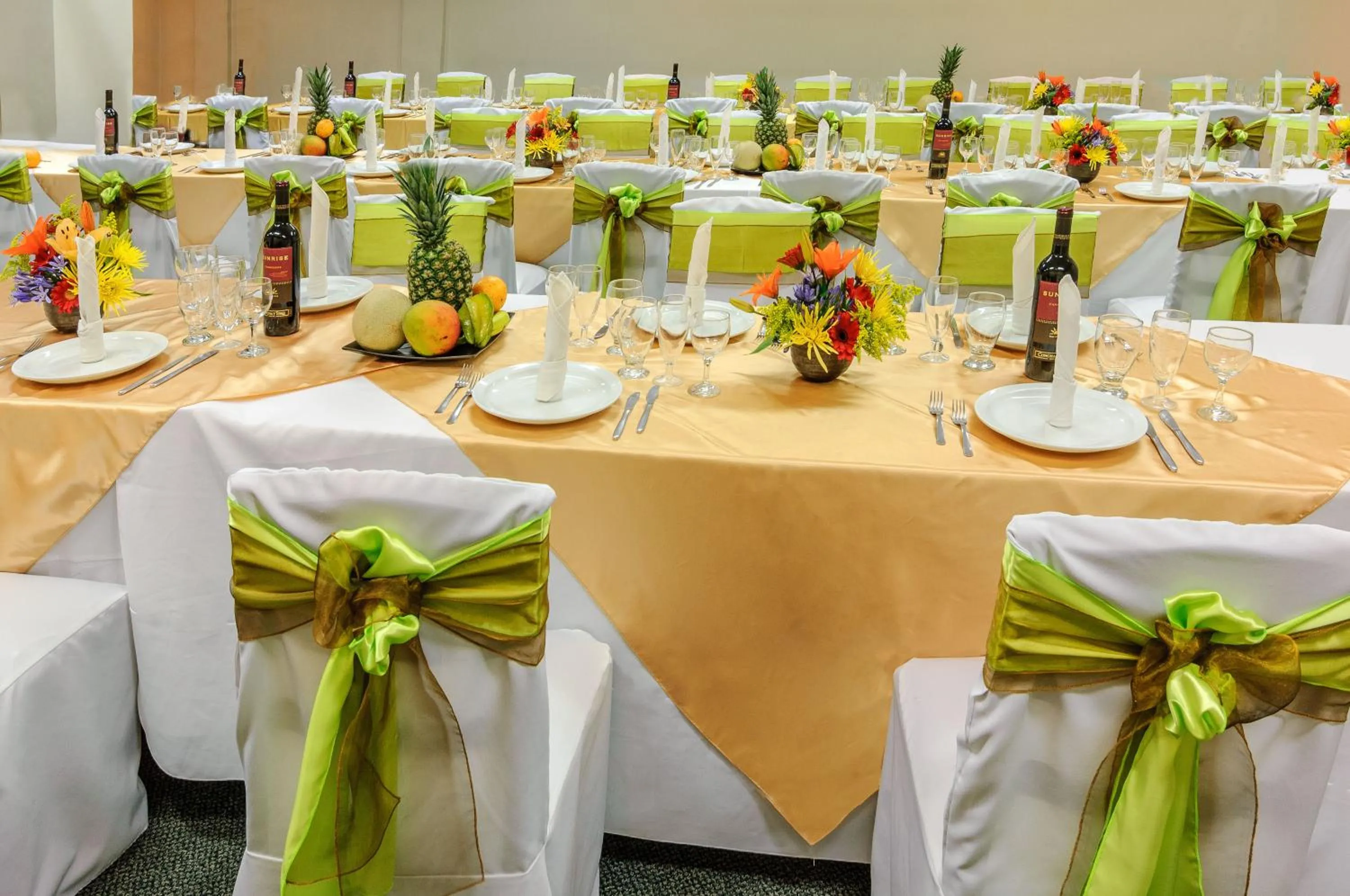 Banquet/Function facilities in Isla Verde Hotel