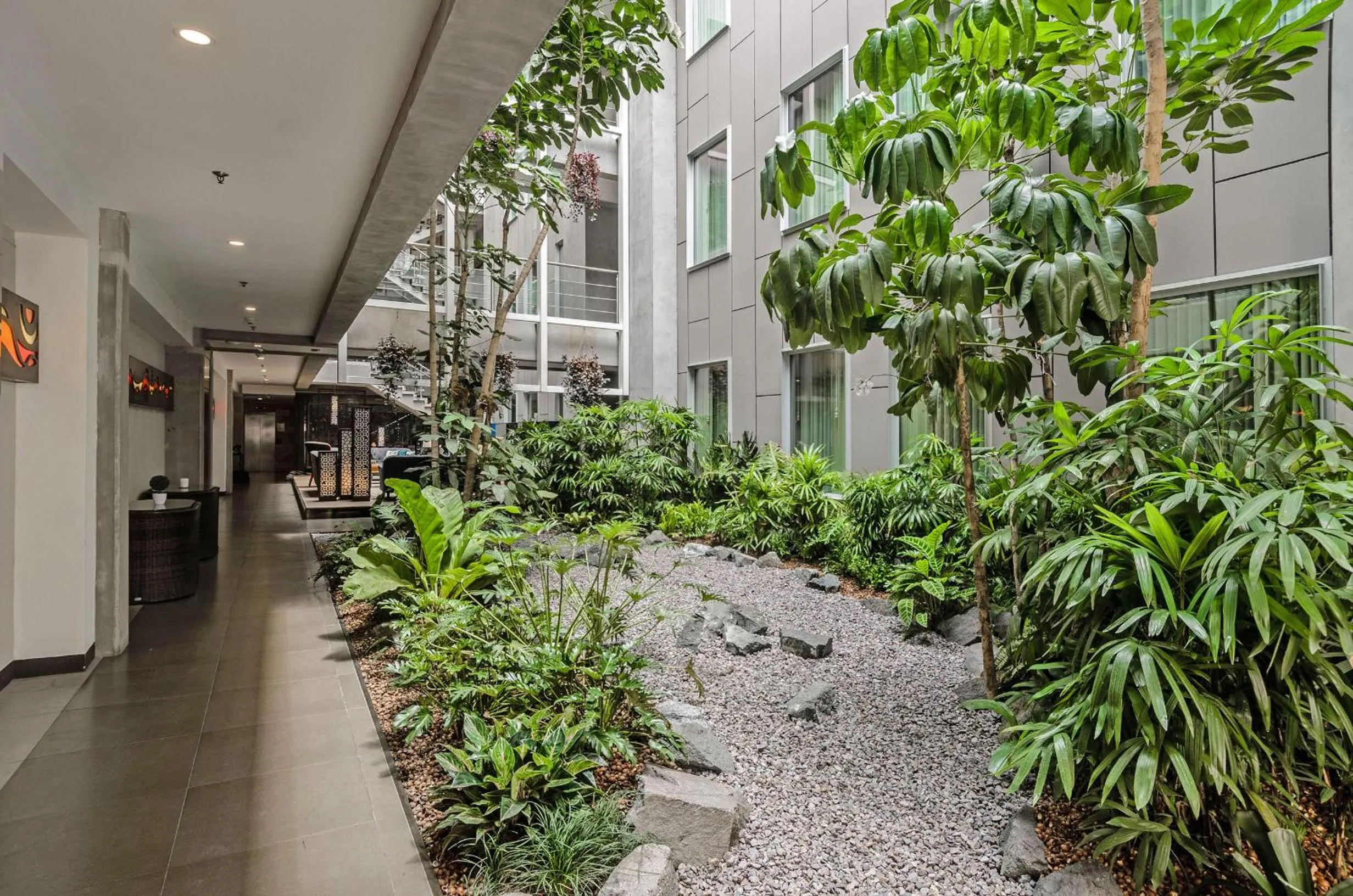 Garden in Isla Verde Hotel