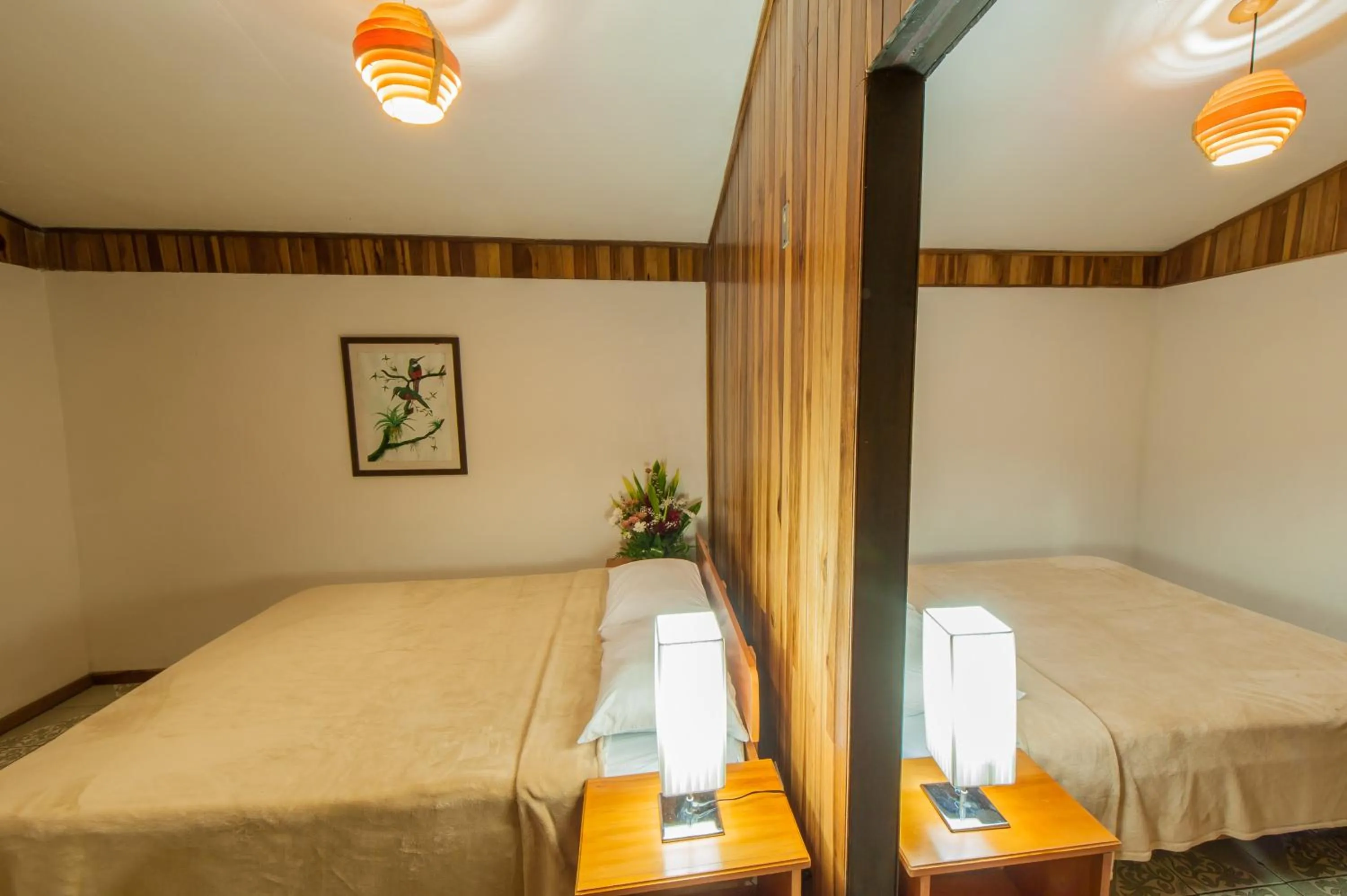 Area and facilities, Bed in Cabinas Eddy B&B