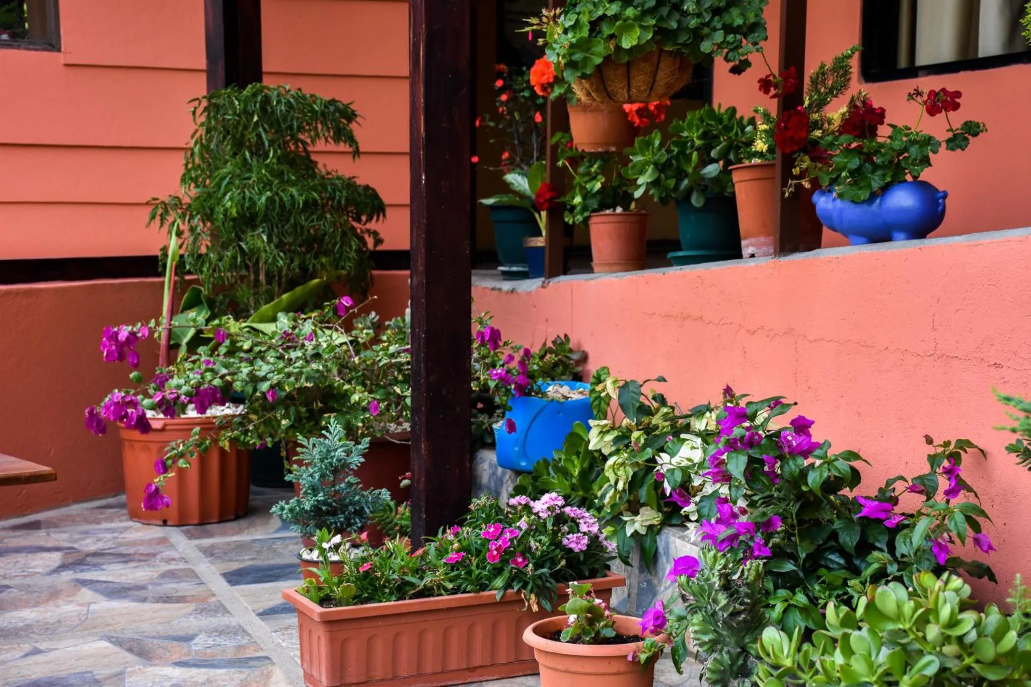 Patio in Cabinas Eddy B&B