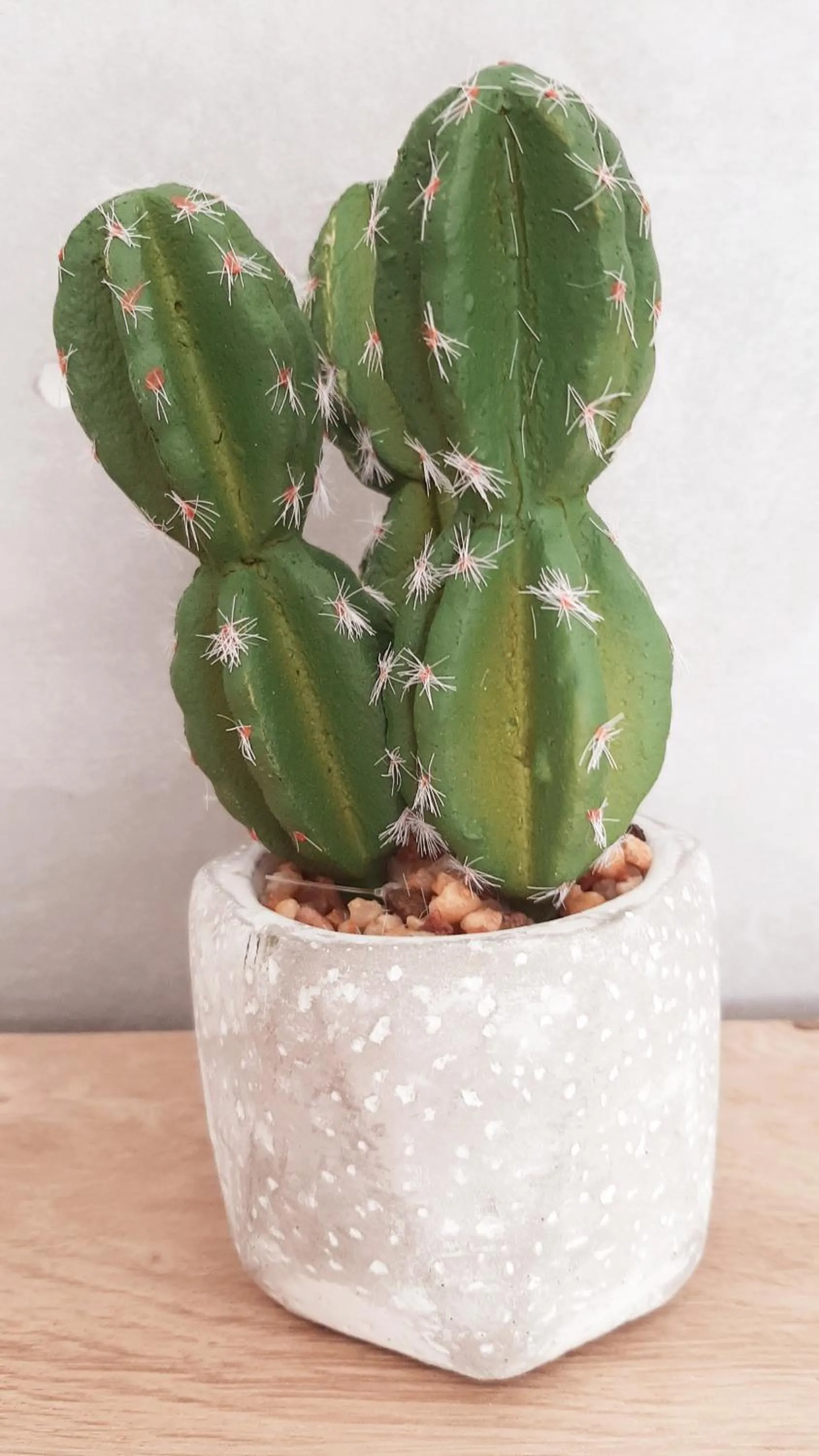 Decorative detail in Allegria Nimes Chambre Deluxe Spa