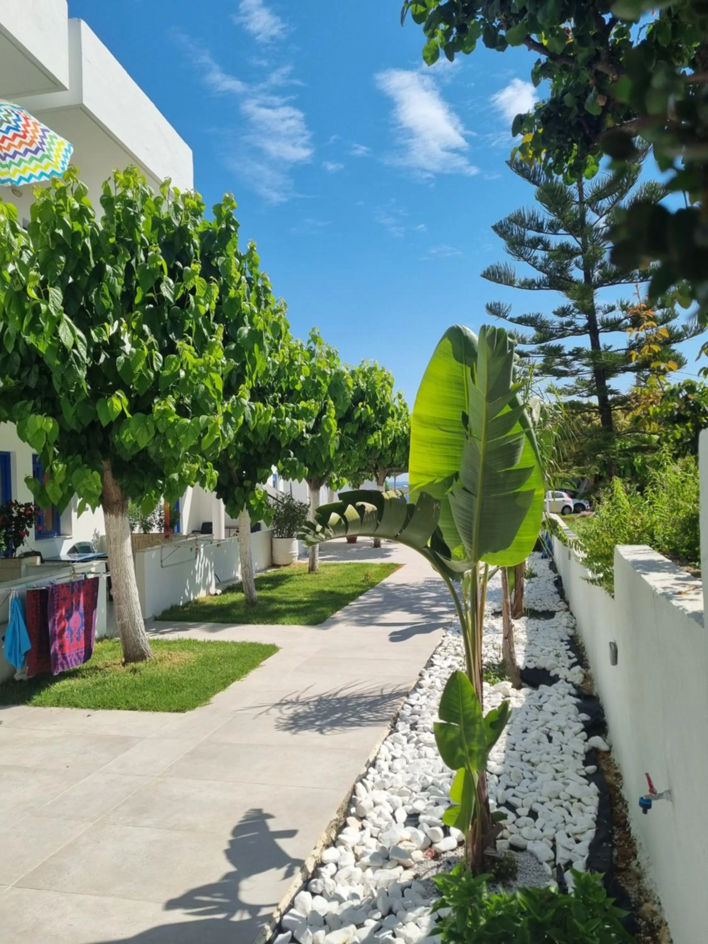 Garden in Leonidas Studios & Apartments