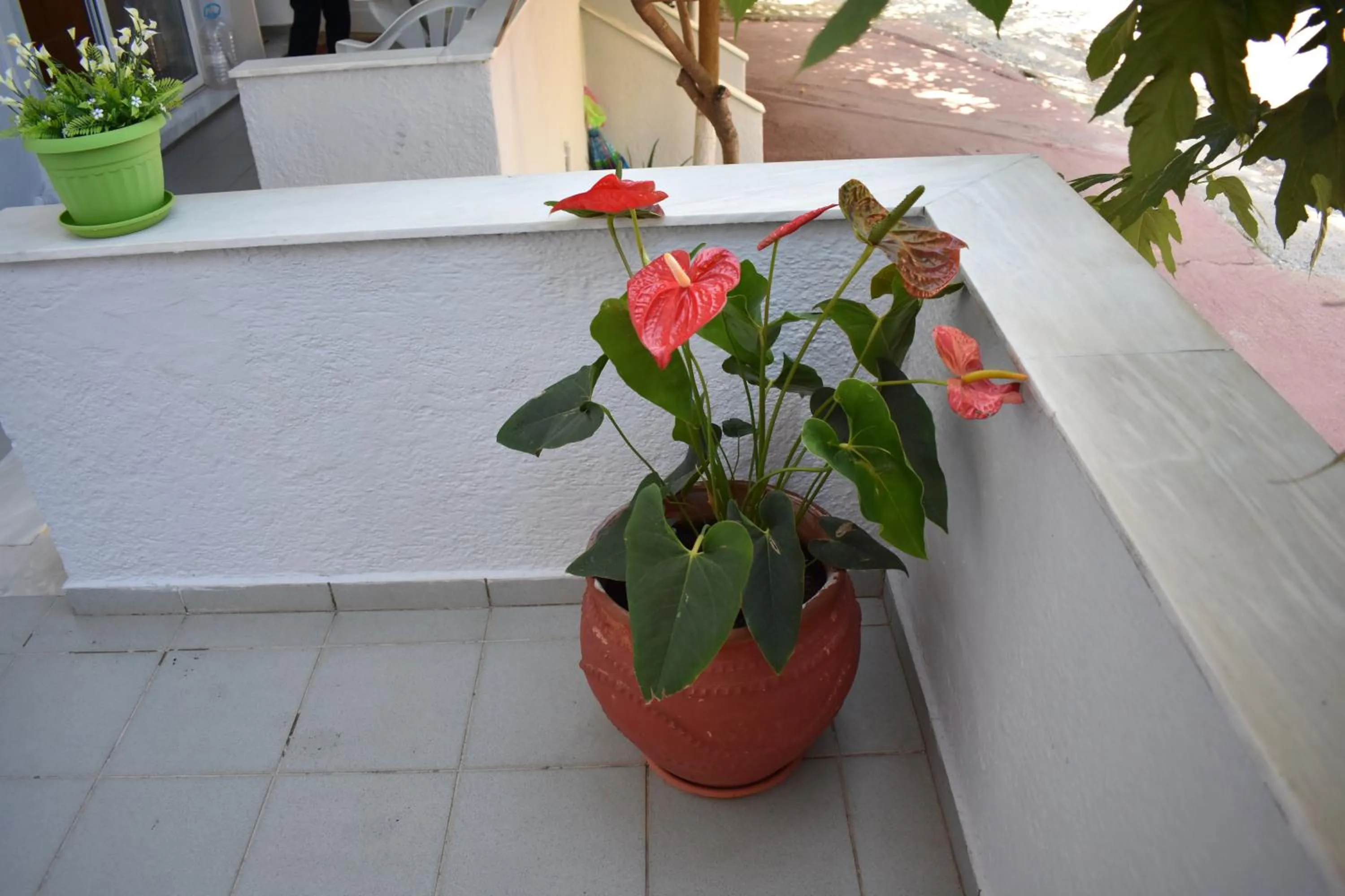 Galanis Studios and Apartments