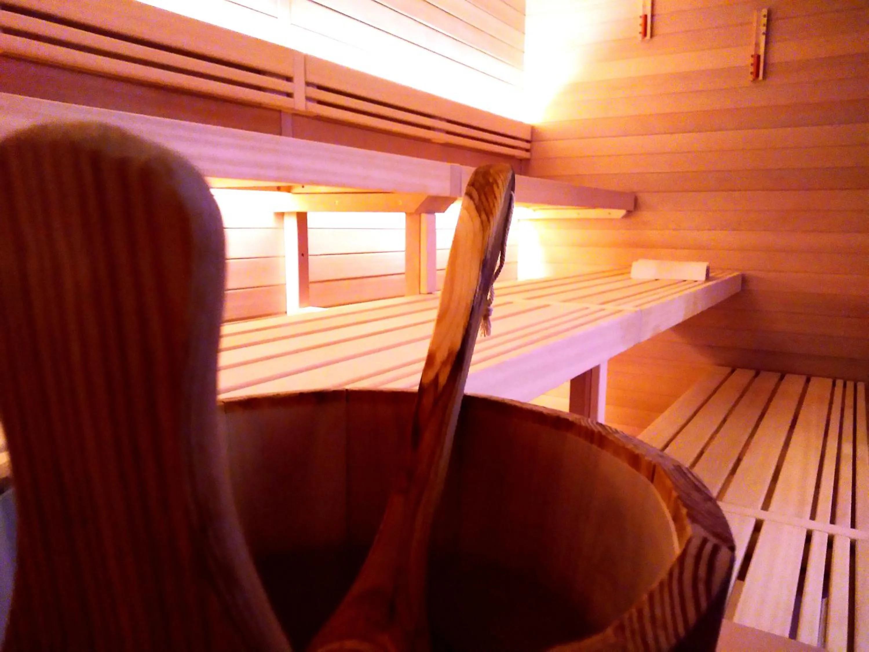 Sauna in Hotel delle Terme & Spa